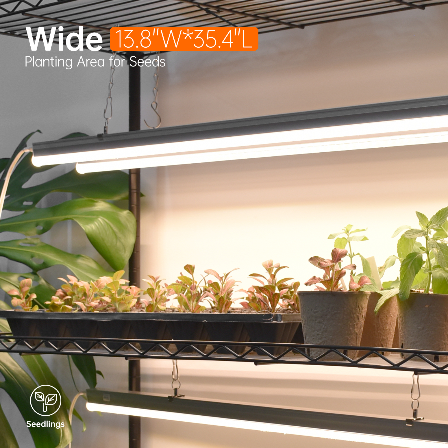 Bstrip 4-Tier Plant Shelf with Grow Lights, 70.8 Inch Tall Plant Stand with 6-Pack Full Spectrum LED Grow Lights, Adjustable Shelf with Timer & Wheels for Indoor Plants, Seed Starting, Tropical Plants