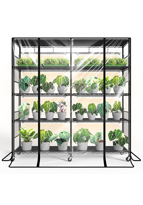 Bstrip DY155G Indoor Greenhouse with Grow Light, 5-Tier Large Plant Shelf with 8-Pack T8 Full Spectrum LED Grow Lights & EVA Cover, Heavy-Duty Mini Greenhouse for Seed Starting, Herbs, Flowers & Indoor Plants (58" L x 13.8" W x 59" H)