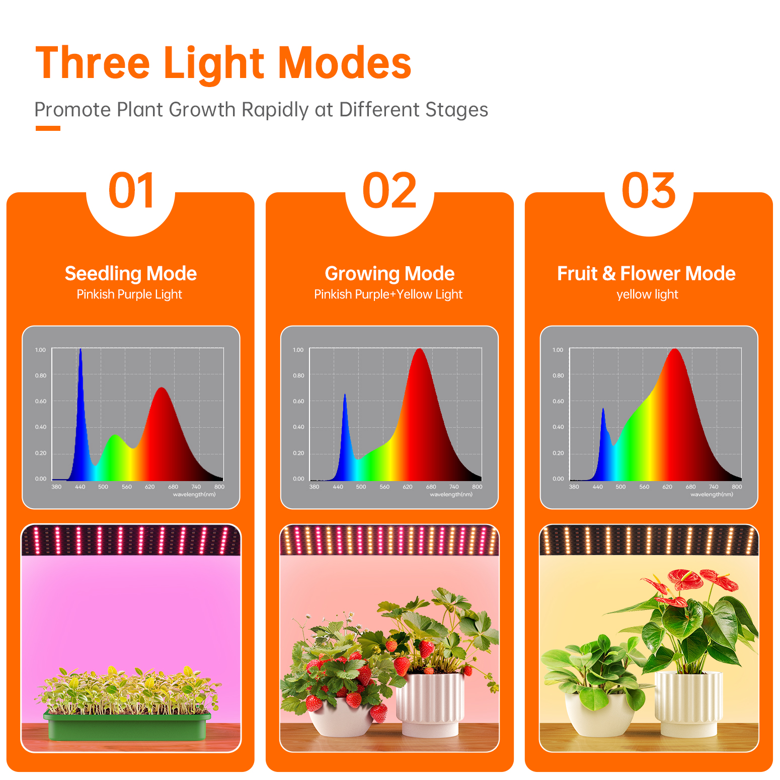 Bstrip Indoor Greenhouse with Grow Lights, 4 Tier 61.8" Mini Greenhouse with Zippered PVC Cover, Four 15W Full Spectrum LED Plant Lights with Timer, Dimmable Grow Light for Seed Starting Trays and Indoor Plants