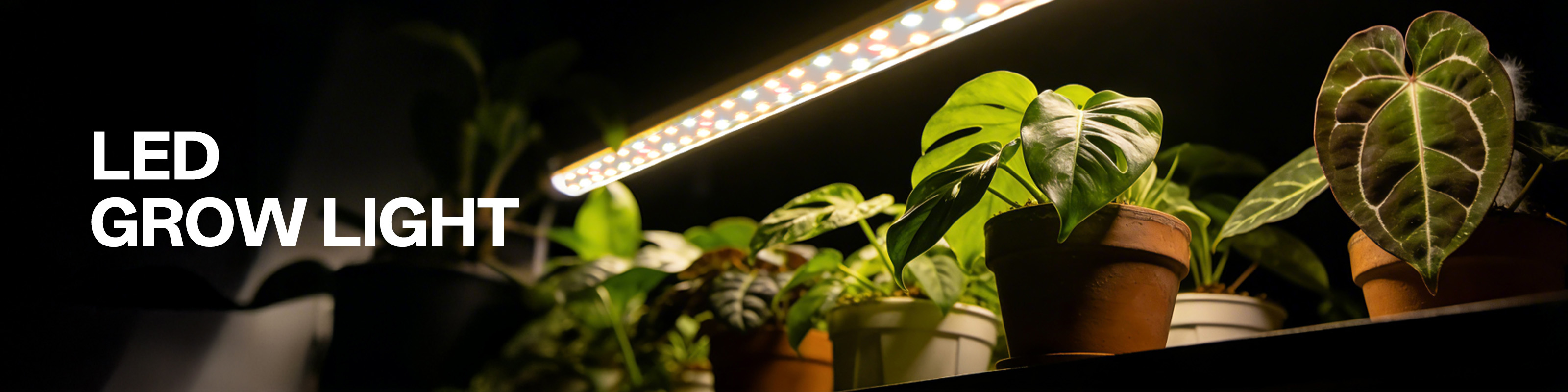 Led Grow Light