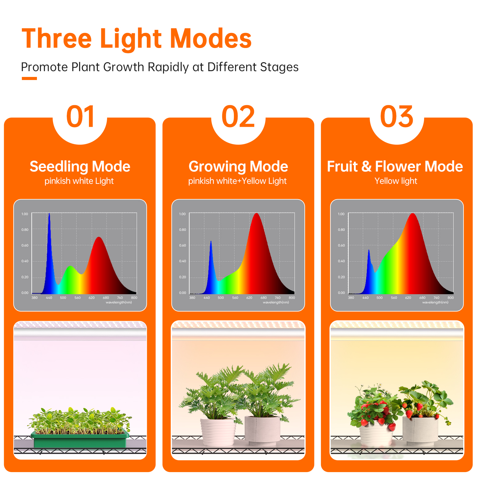 Bstrip Indoor Greenhouse with Grow Light, 59" Plant Stand with 3 Pack Full Spectrum LED Plant Lights, Portable Greenhouse Tent with Adjustable Light Height & Wheels for Indoor Gardening, Seed Starting, Year-Round Cultivation