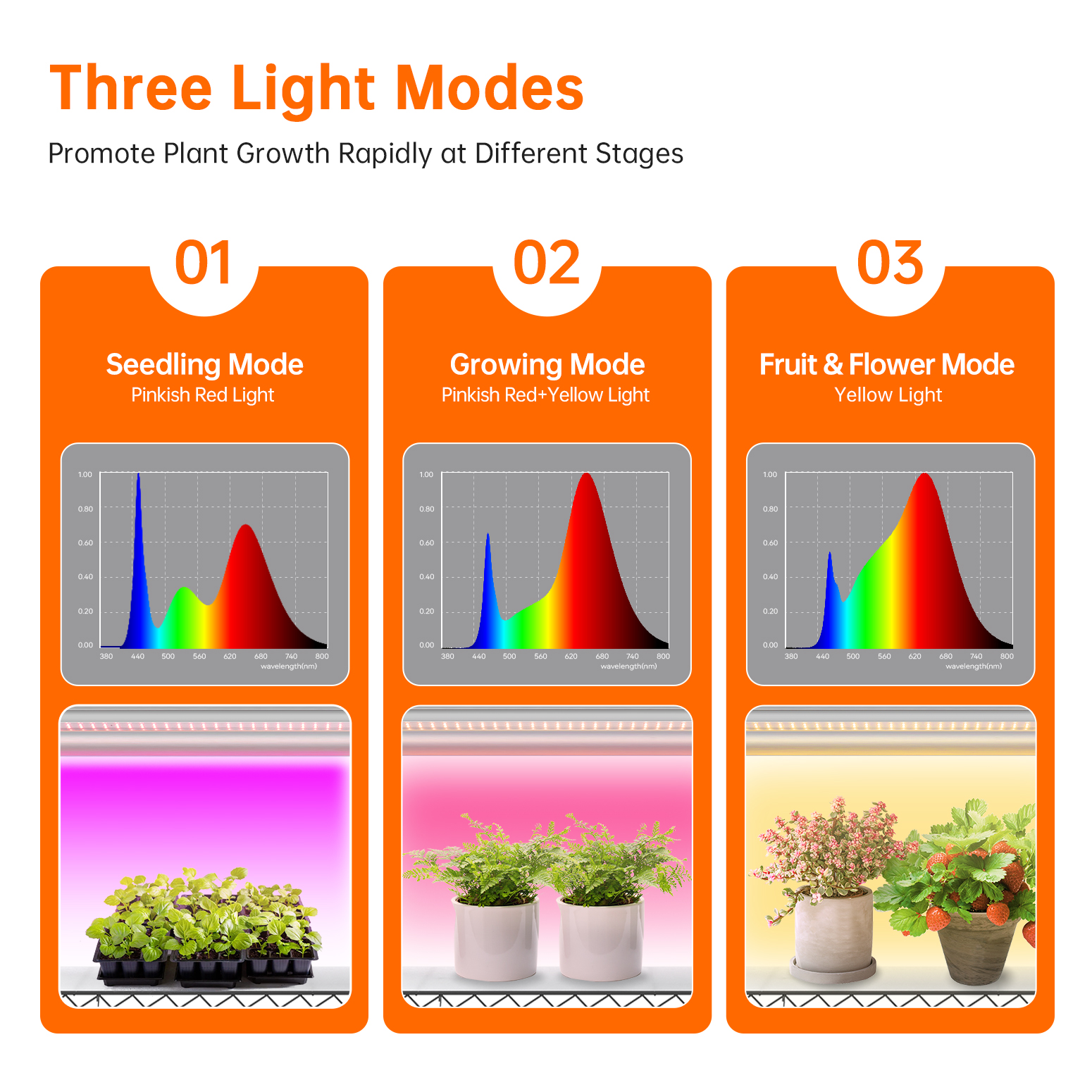 Bstrip Indoor Greenhouse Cabinet with Grow Lights, 71" Tall 5-Tier Plant Stand with Full Spectrum LED Plant Lights, 3 Color Modes & Auto Timer, Mobile Gardening System with Tent for Indoor Plants, Seed Starting