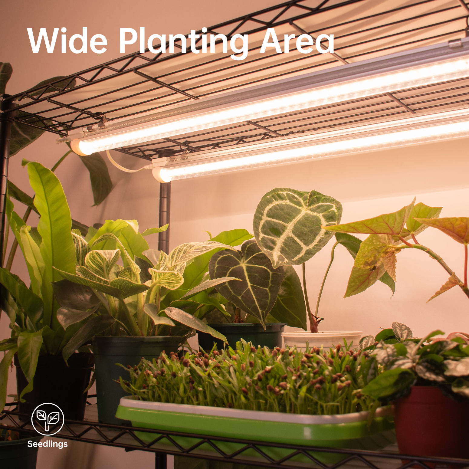 Bstrip DIY Plant Shelf with Grow Lights, Adjustable 6-Tier Plant Stand with 8-Pack 24W Full Spectrum LED Grow Lights, Mobile Gardening Station with Wheels for Seed Starting, Indoor Plants, 70.9 Inch Height