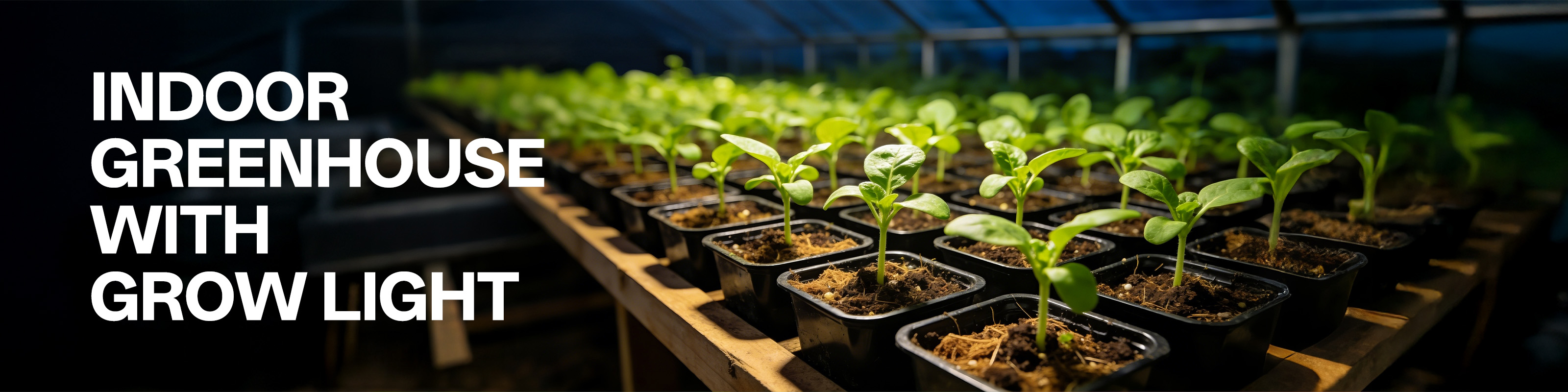 Indoor Greenhouse with Grow Light