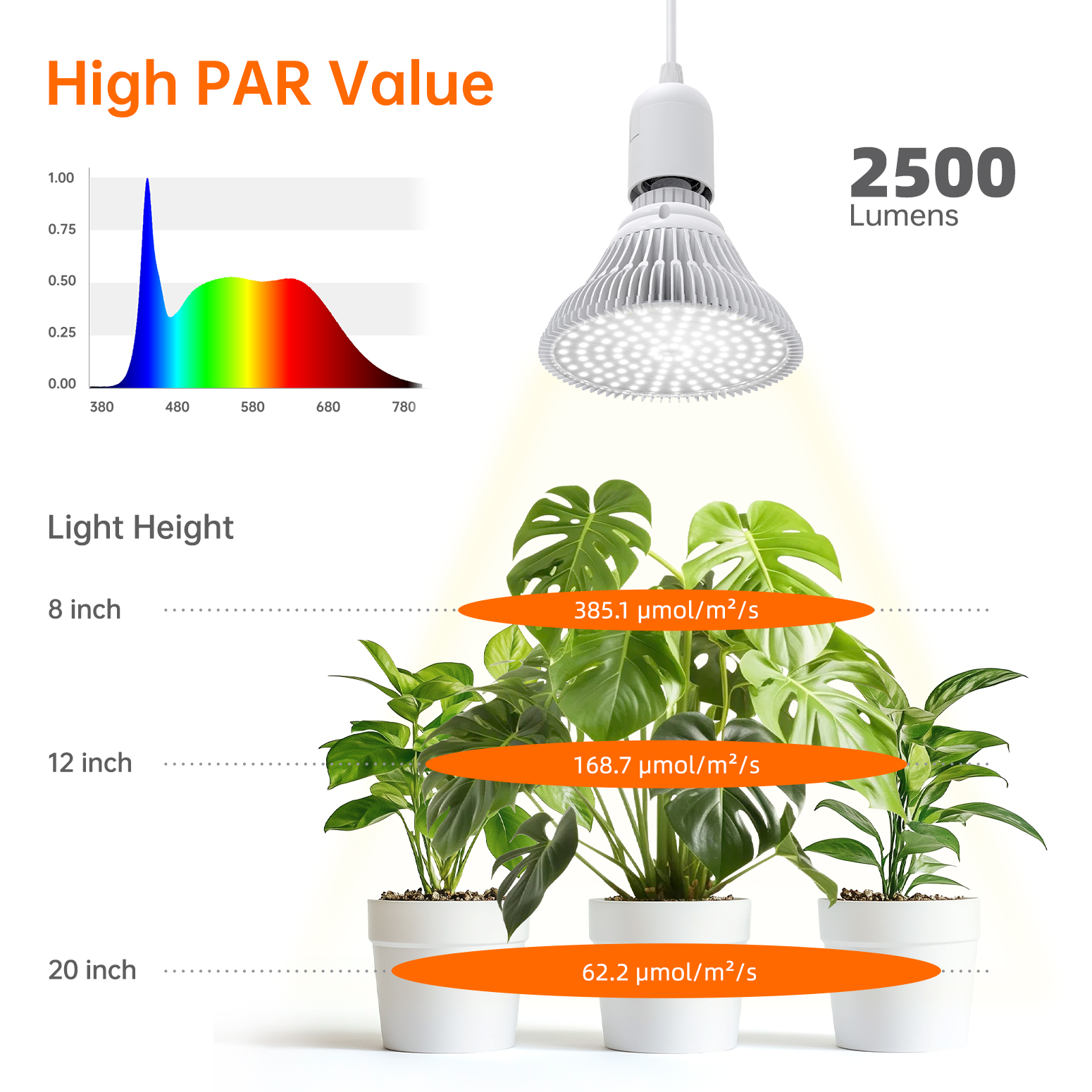 Bstrip 50W Dual Head Hanging Grow Light with Timer for Indoor Plants, 2x25W Full Spectrum Bulbs, 16.4FT Cord with Independent Switches, Ceiling Light for Tall Houseplants & Seed Starting