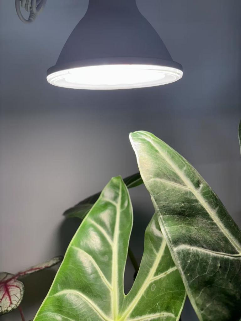 Inzlume Hanging Grow Light, 15W Full Spectrum Pendant Grow Light, Ideal for Indoor Plants, Flowers, Garden 