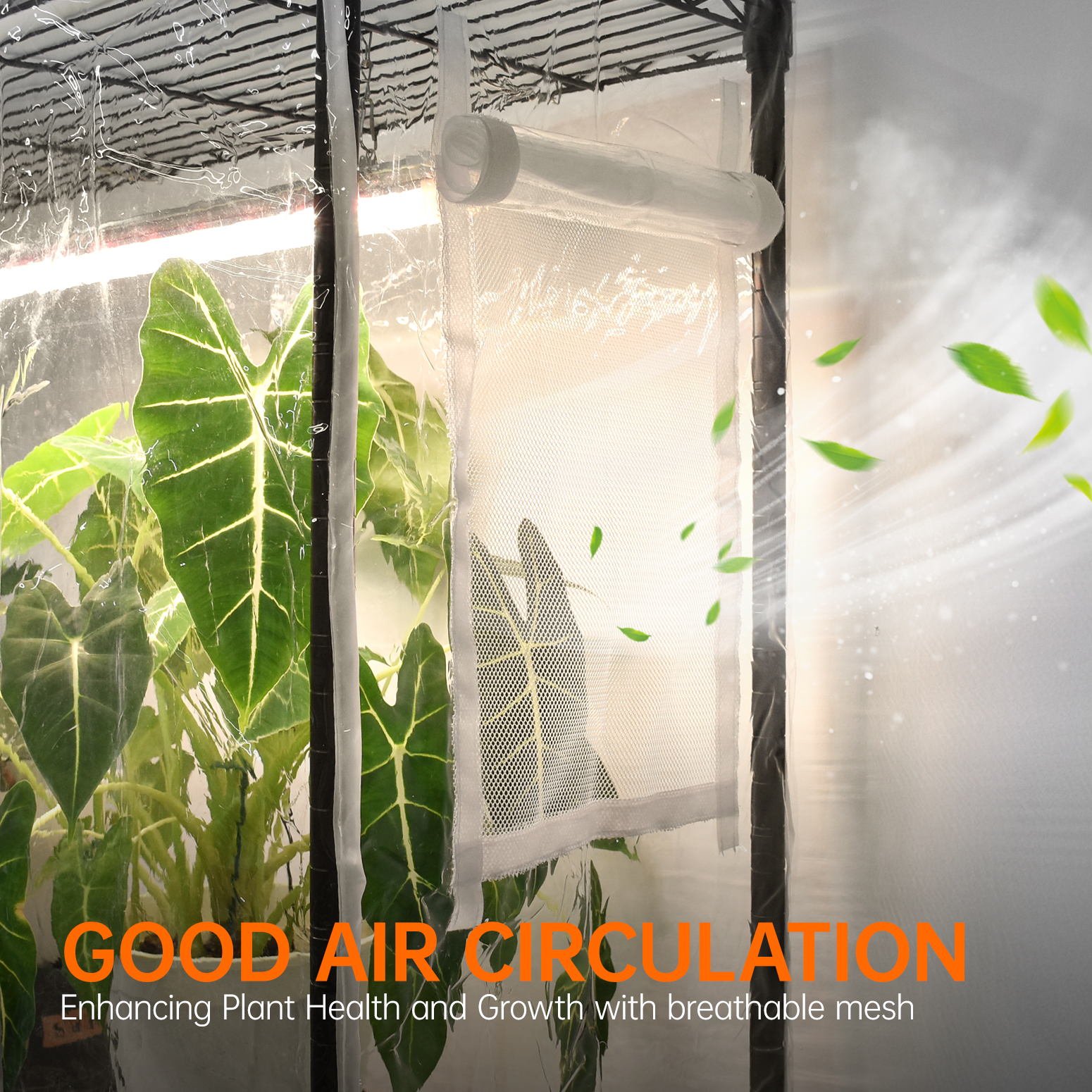 Bstrip 59" Indoor Greenhouse with 4x24W Grow Lights, Mini Grow Tent with EVA Cover & Timer for Seed Starting and Plant Growth