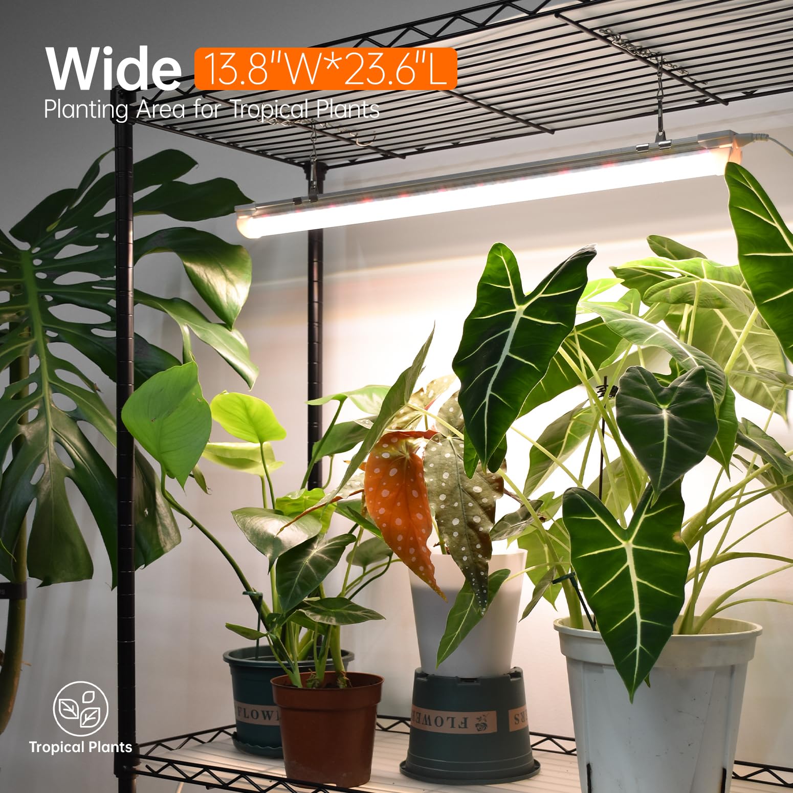 Plant Shelf with Grow Light with Timer, Plant Stand with Adjustable Rack and Wheels, 3 Pack 72W T8 2FT Full Spectrum Grow Lights for Indoor Plants, Seed Starting, Seed Tray, 23.5"x13.8"x59"