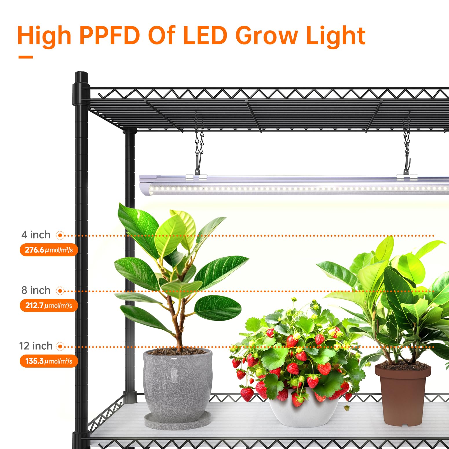 Plant Shelf with Grow Lights, 5-Tier Plant Stand with T8 24W Grow Light for Indoor Plants with Wheel, 5000K Full Spectrum LED Plant Light with Timer for Seedling, Seed Starting, 29.5x13.8x59IN