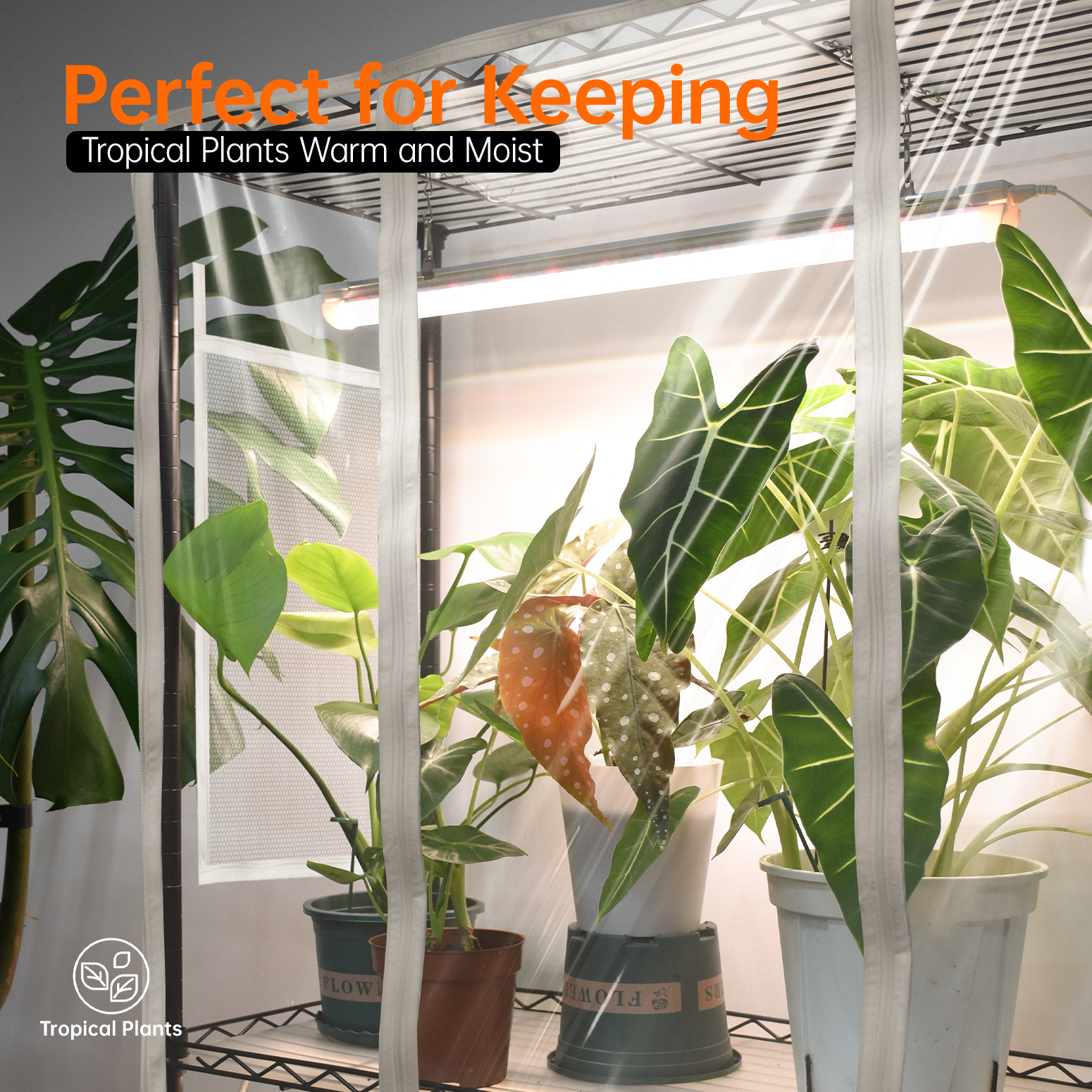 Indoor Greenhouse with Grow Light, Metal Plant Stand with 3 Pack T8 2FT Full Spectrum Plant Lights with Timer, Plant Shelf with Tent for Indoor Plant, Seed Starting, Seed Tray, 23.5"x13.8"x59"