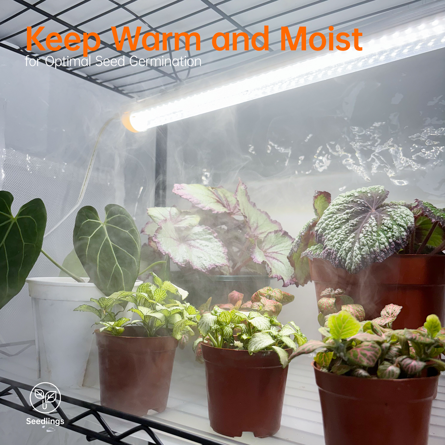 Bstrip 59" 5-Tier Indoor Greenhouse with 4 T8 Grow Lights, 5000K Full Spectrum Plant Shelf with Timer & EVA Cover