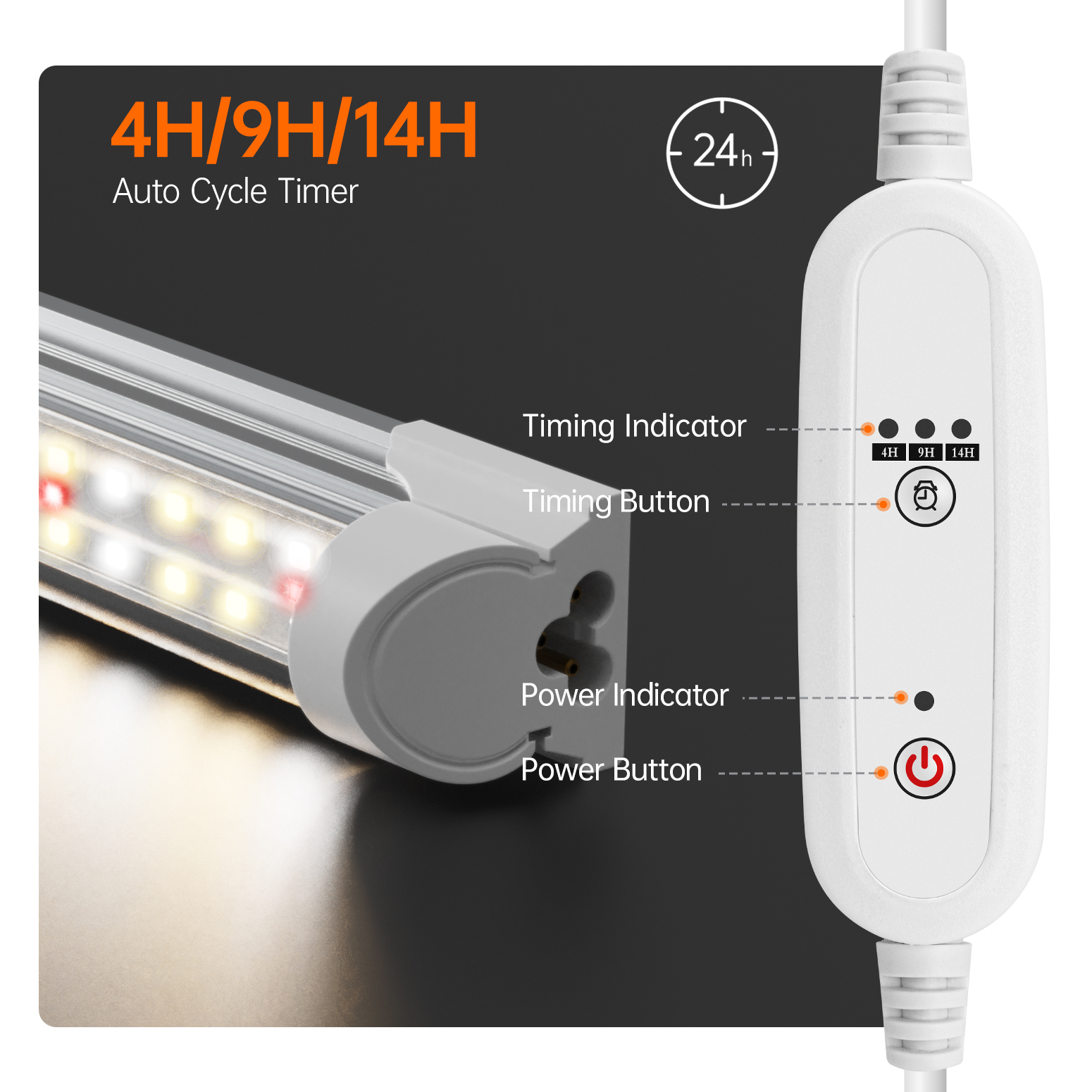 Bstrip 59" Indoor Greenhouse with 4x24W Grow Lights, Mini Grow Tent with EVA Cover & Timer for Seed Starting and Plant Growth