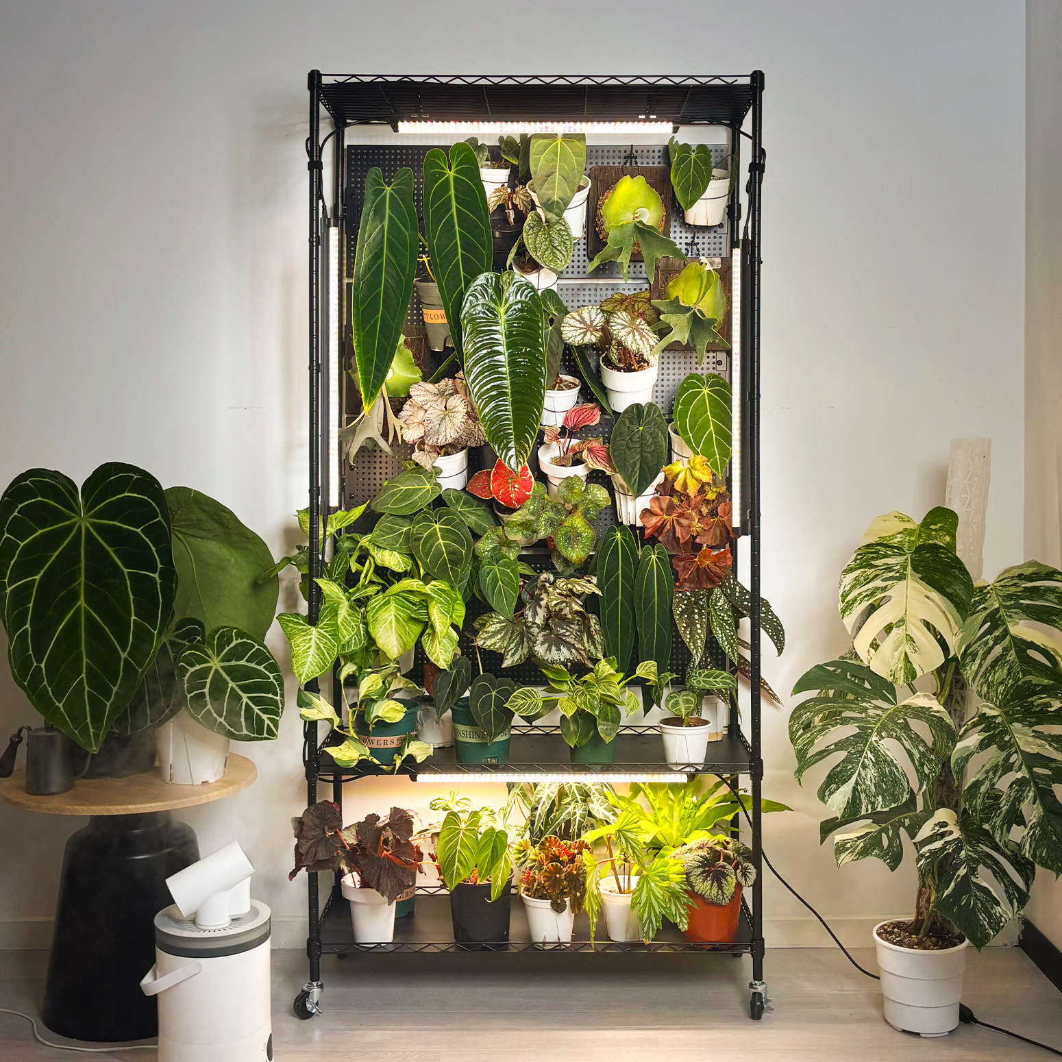 Bstrip 71" Plant Shelf with Grow Light and 4 Pegboards, Adjustable Metal Plant Stand with 4x24W Full Spectrum LED Lights and Timer