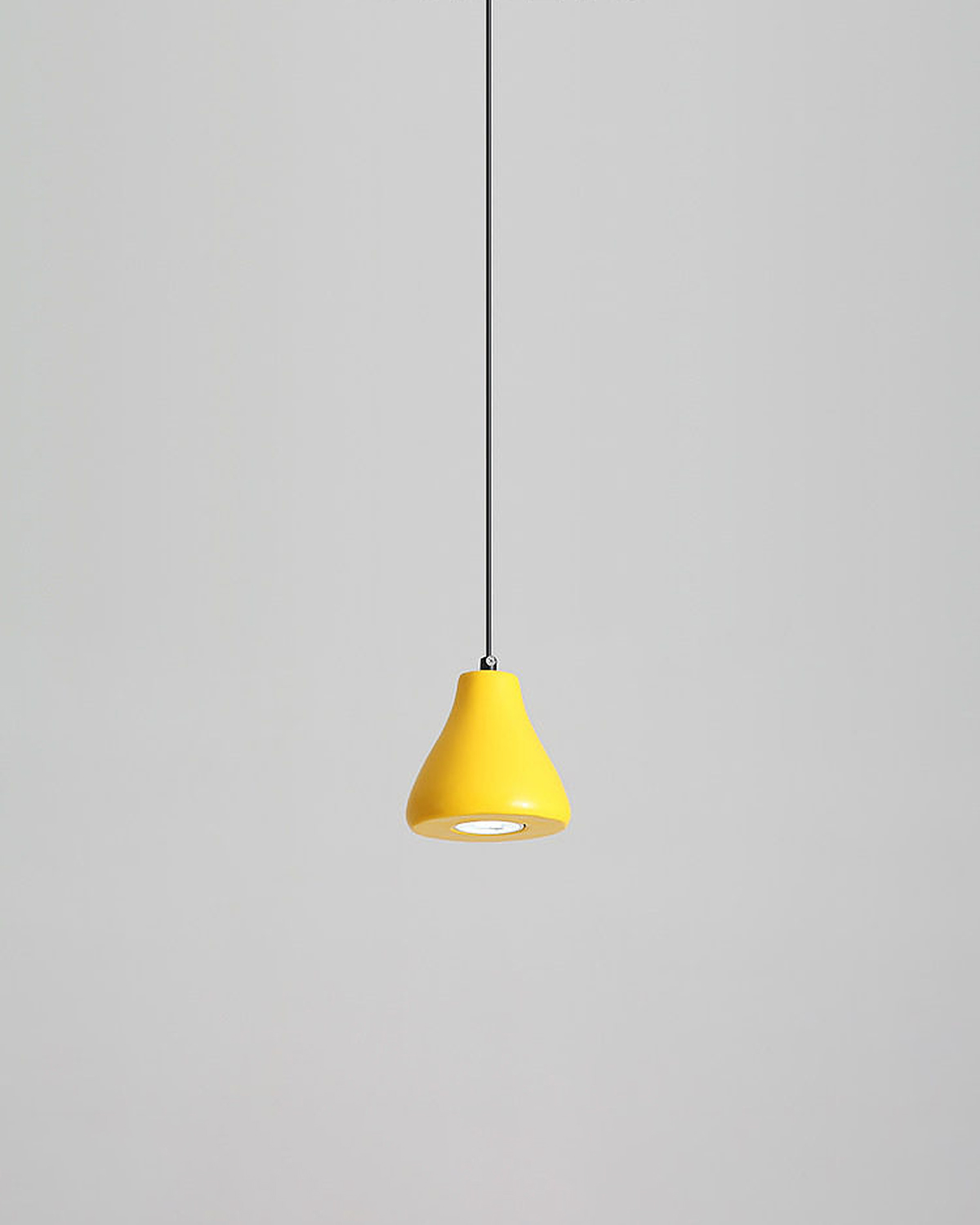 Pollen Pendant Light