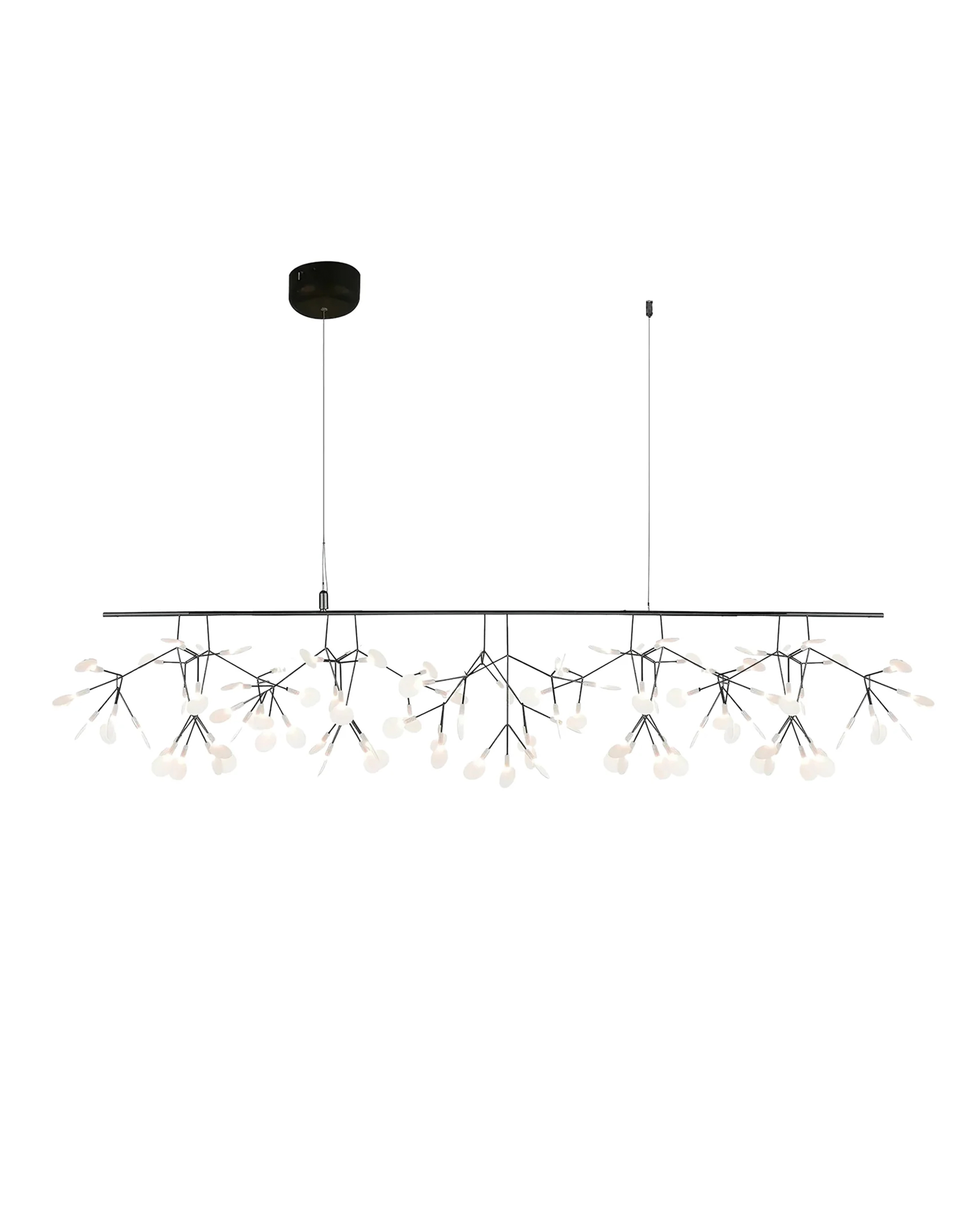 Black Firefly LED Chandelier