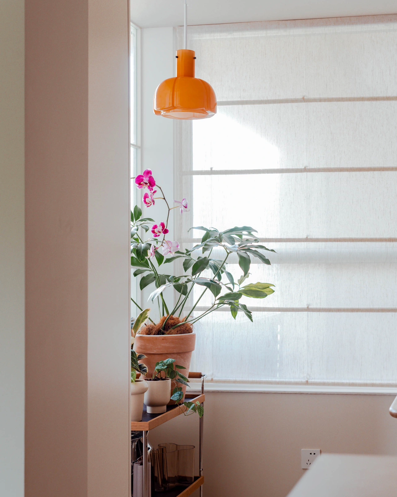 Petal Dome Pendant Light