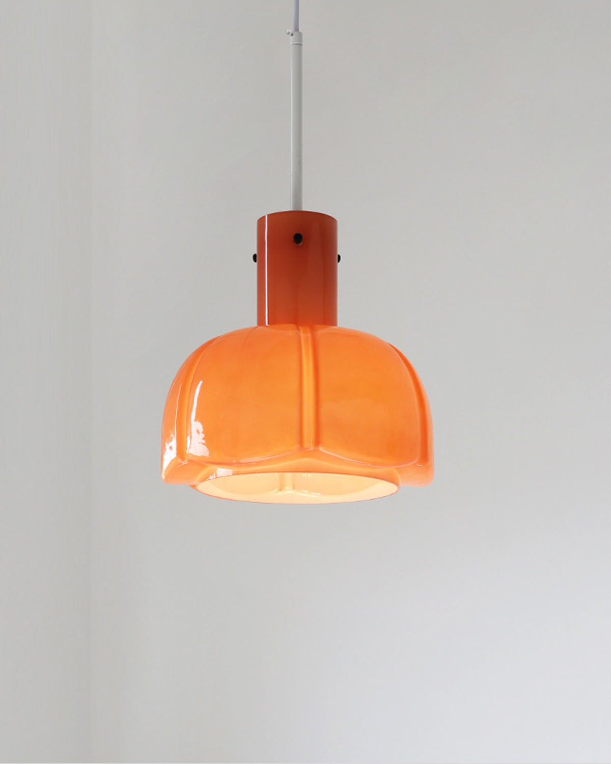 Petal Dome Pendant Light