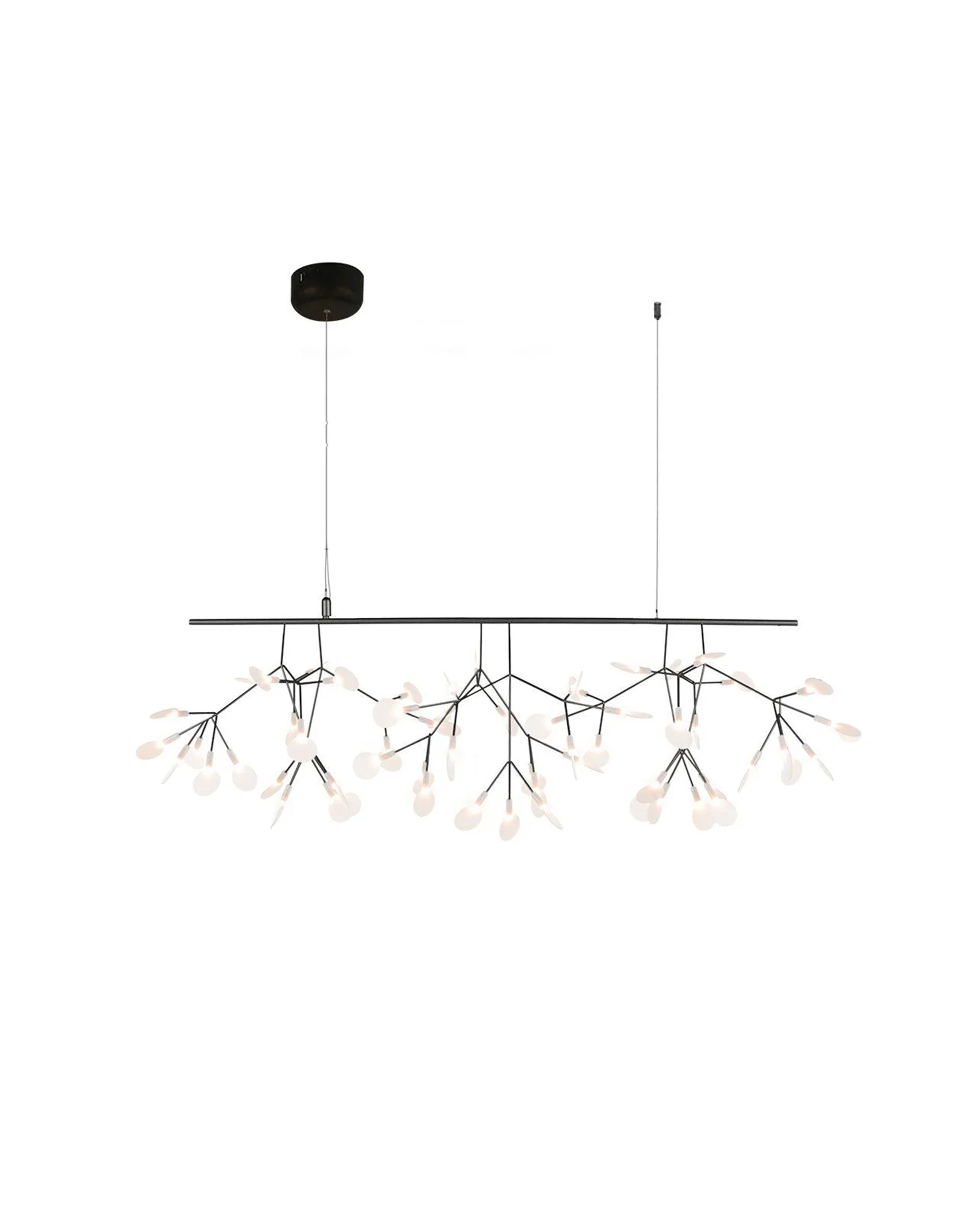 Black Firefly LED Chandelier