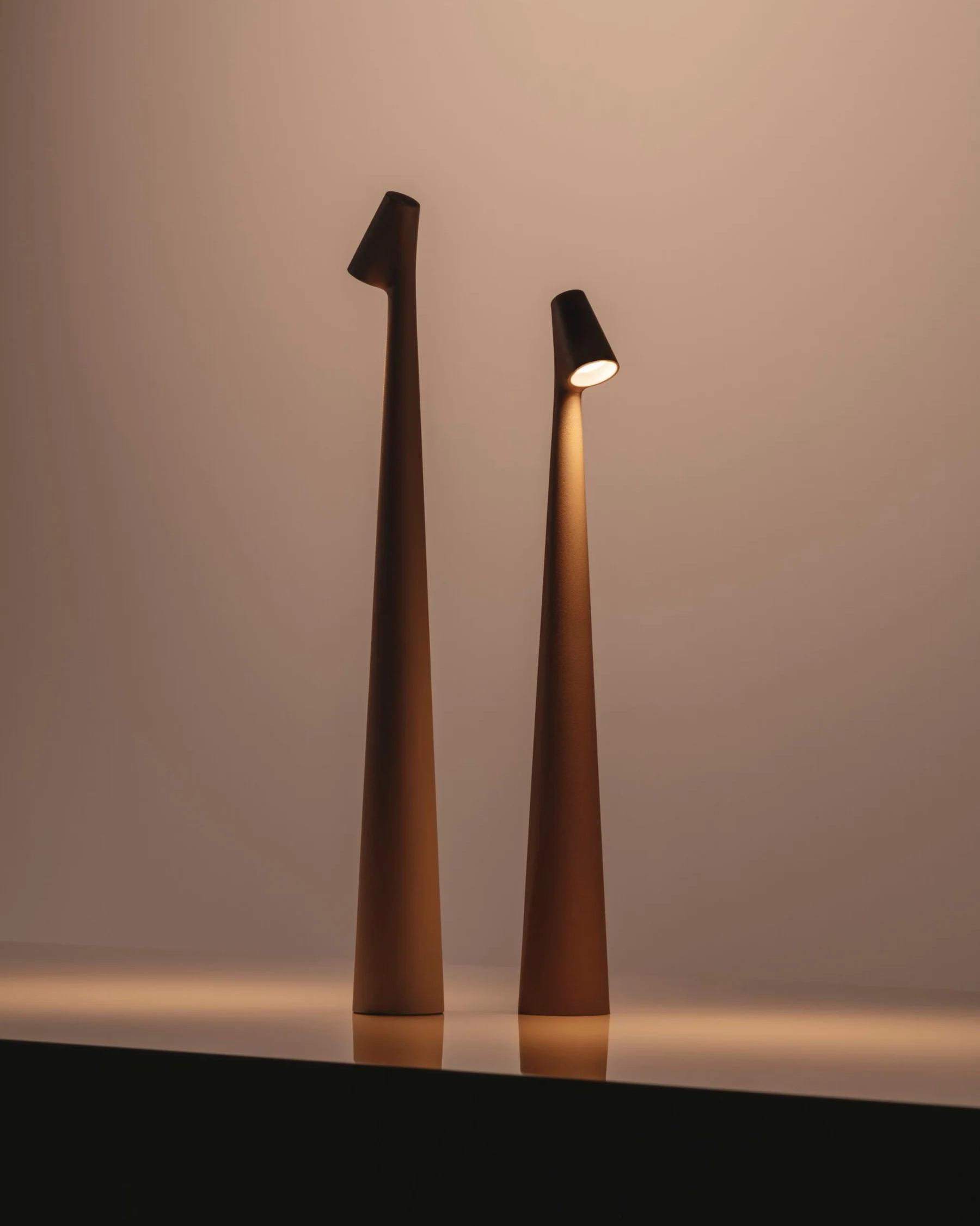 Africa Portable Table Lamp