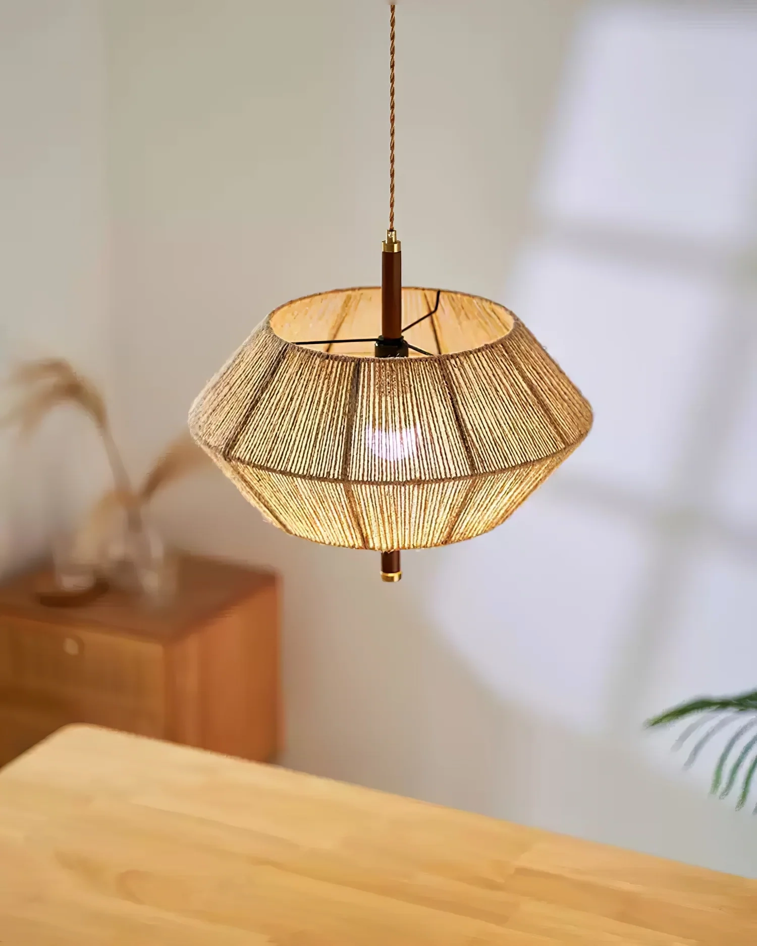 Aluna Corded Pendant Light