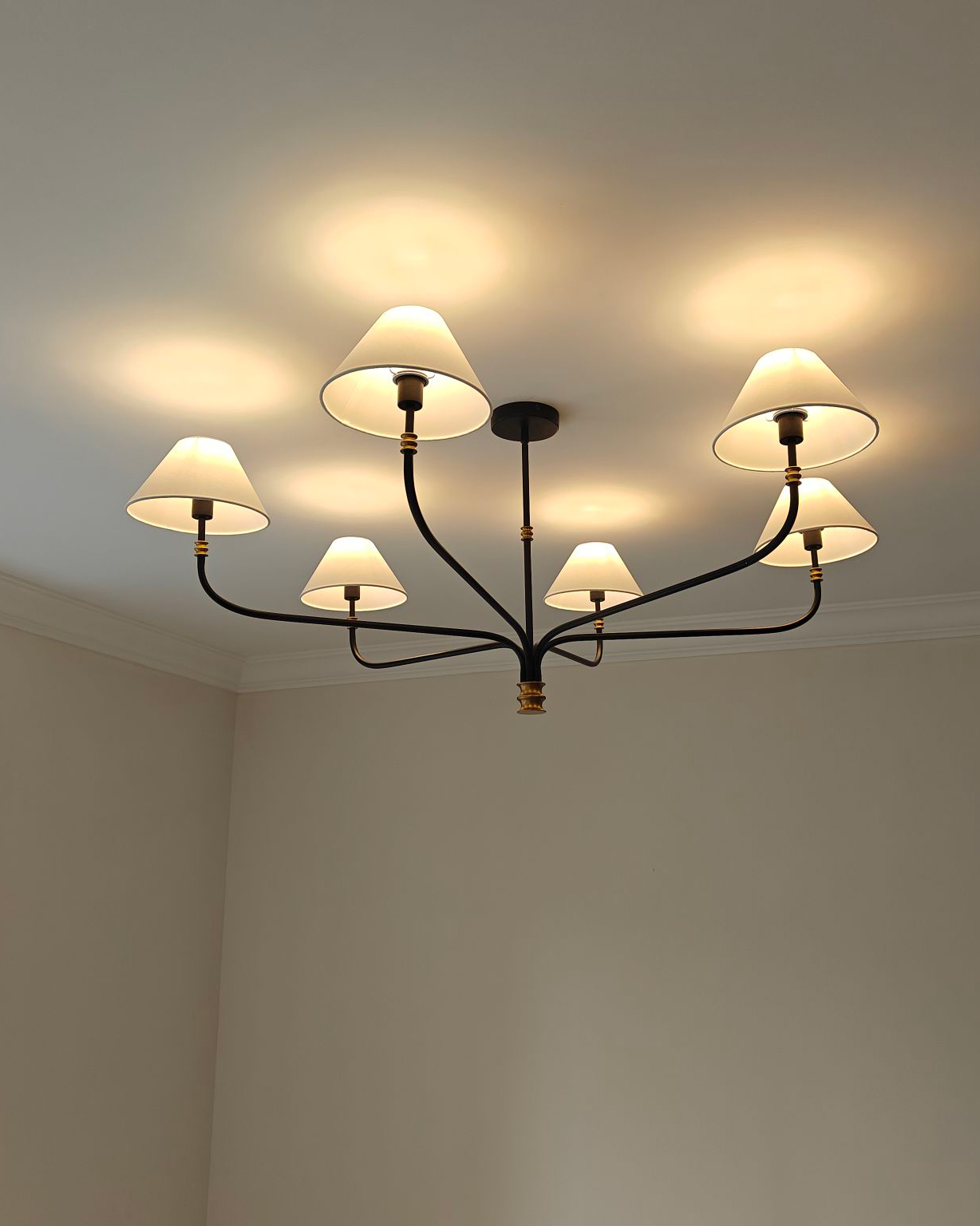 Arden Chandelier