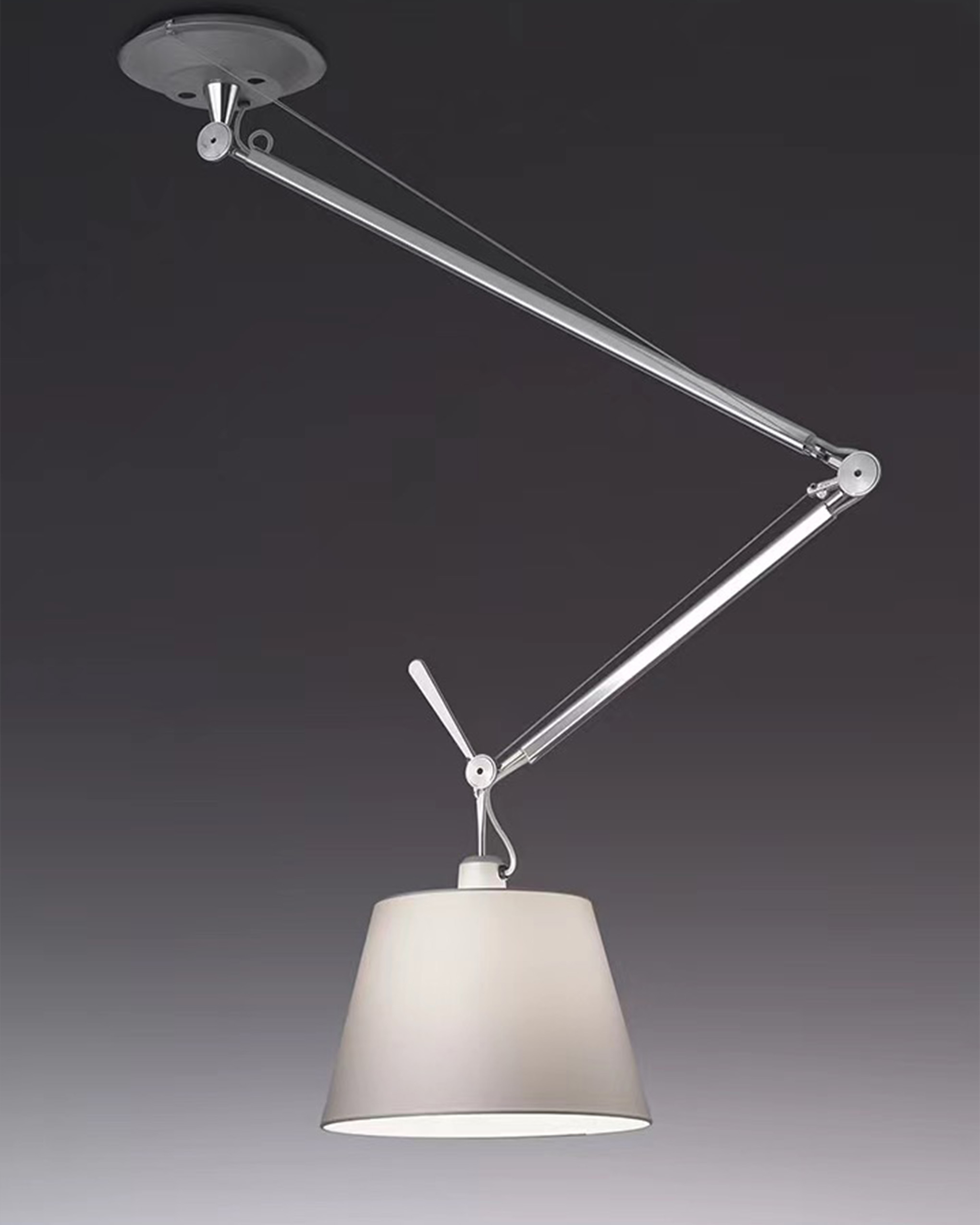 Rocker Modern Design Pendant Lamp