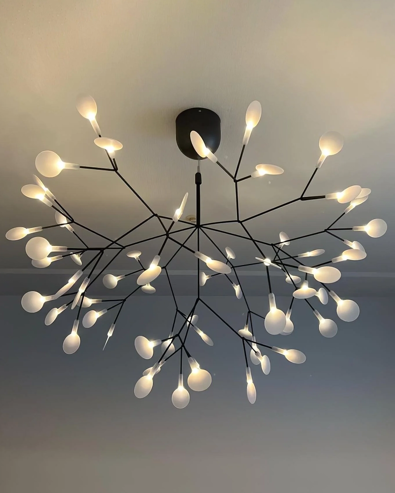 Black Firefly LED Chandelier