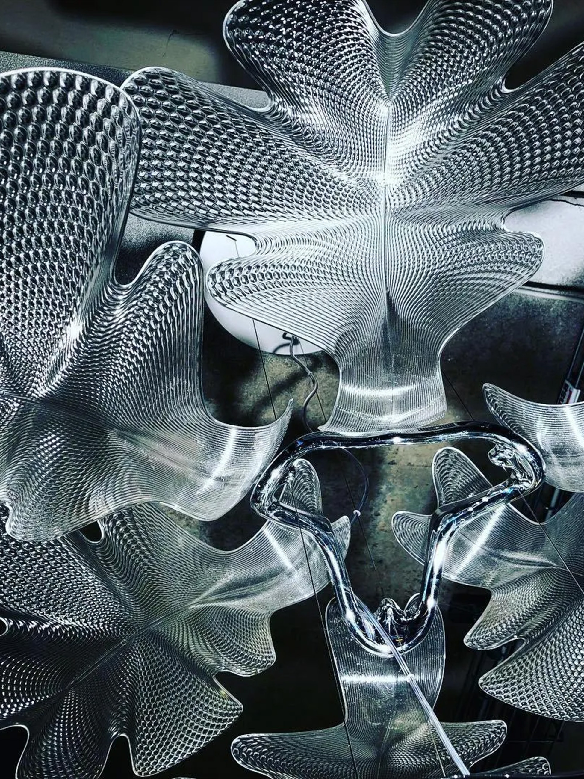 Chlorophilia Suspension Light