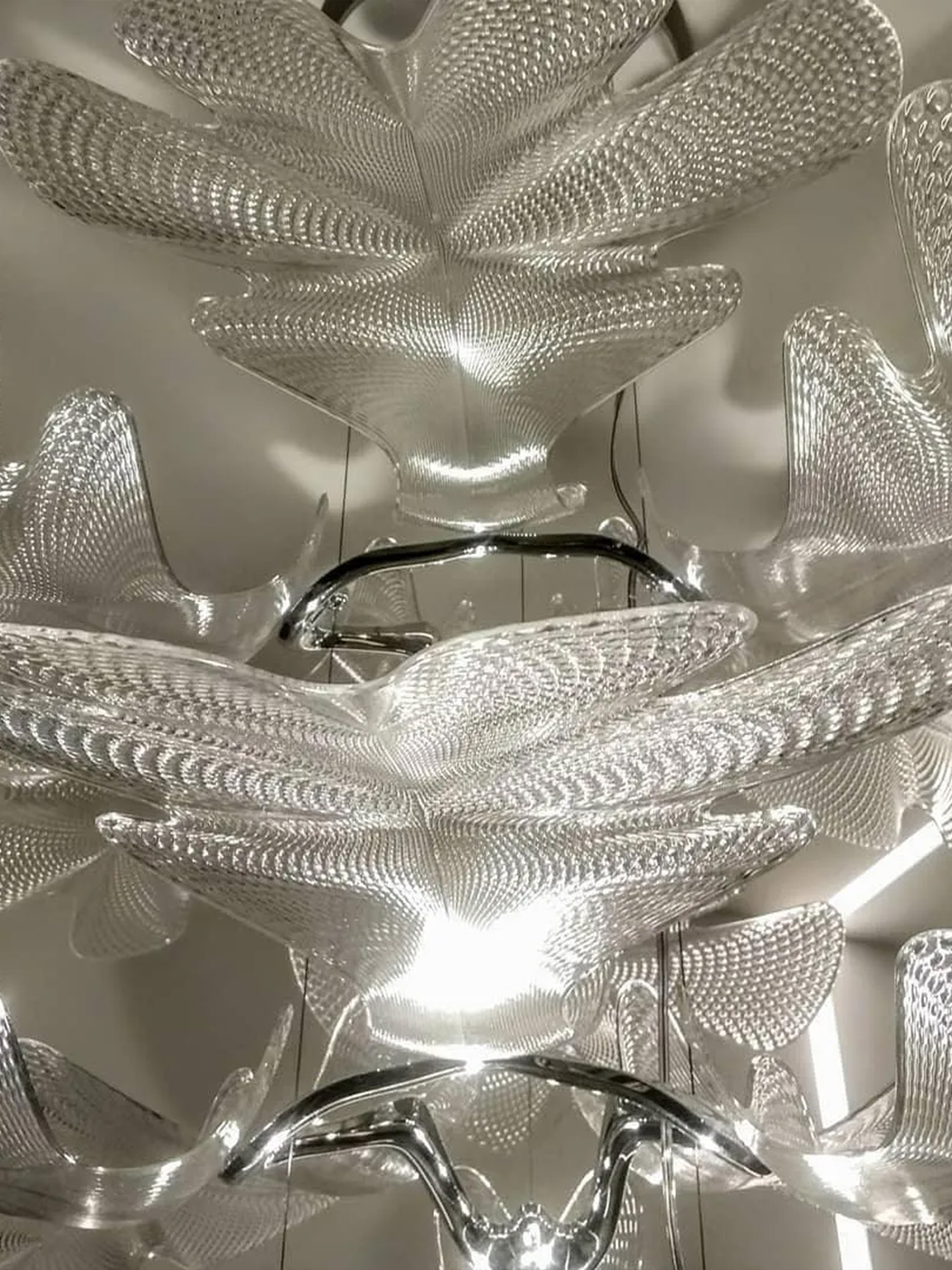 Chlorophilia Suspension Light