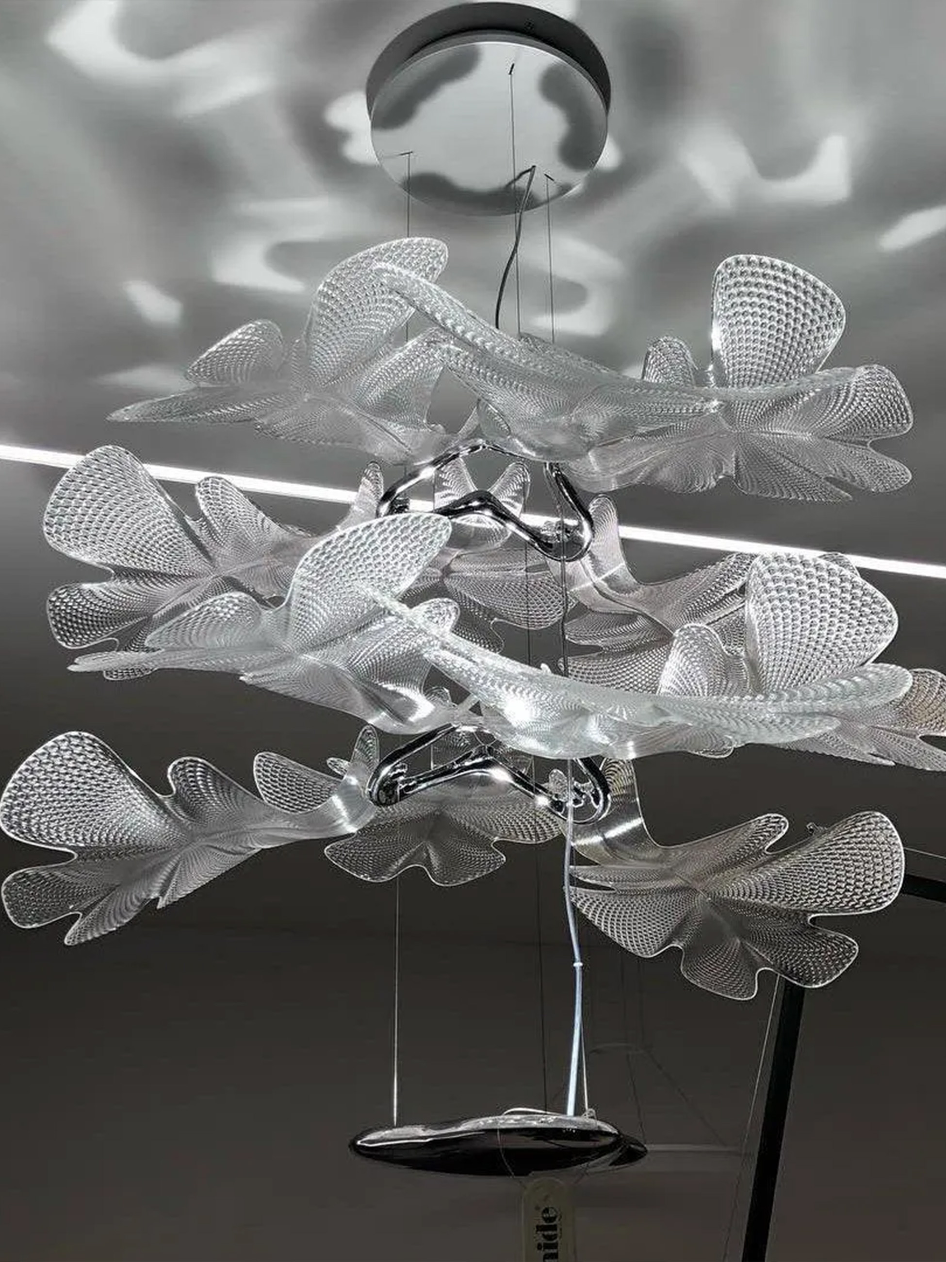 Chlorophilia Suspension Light