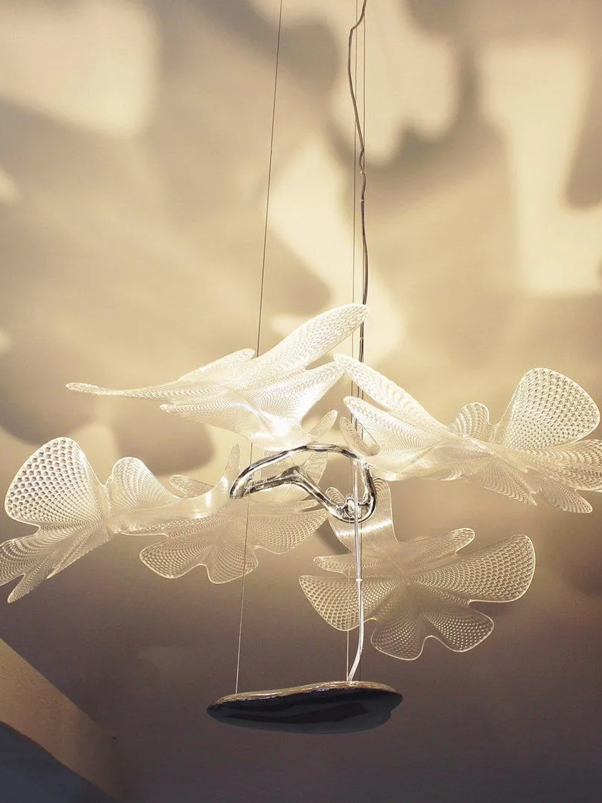 Chlorophilia Suspension Light