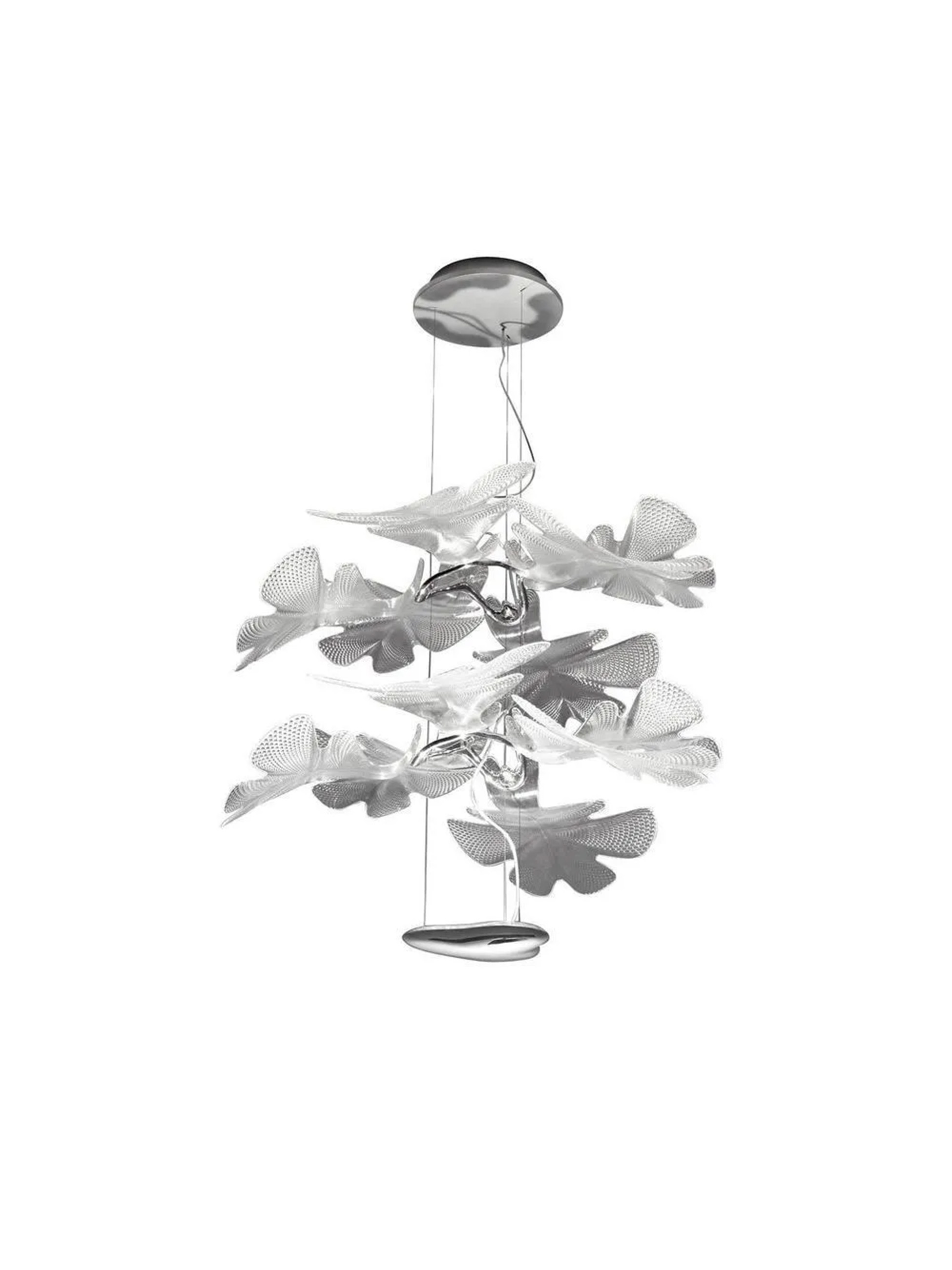 Chlorophilia Suspension Light