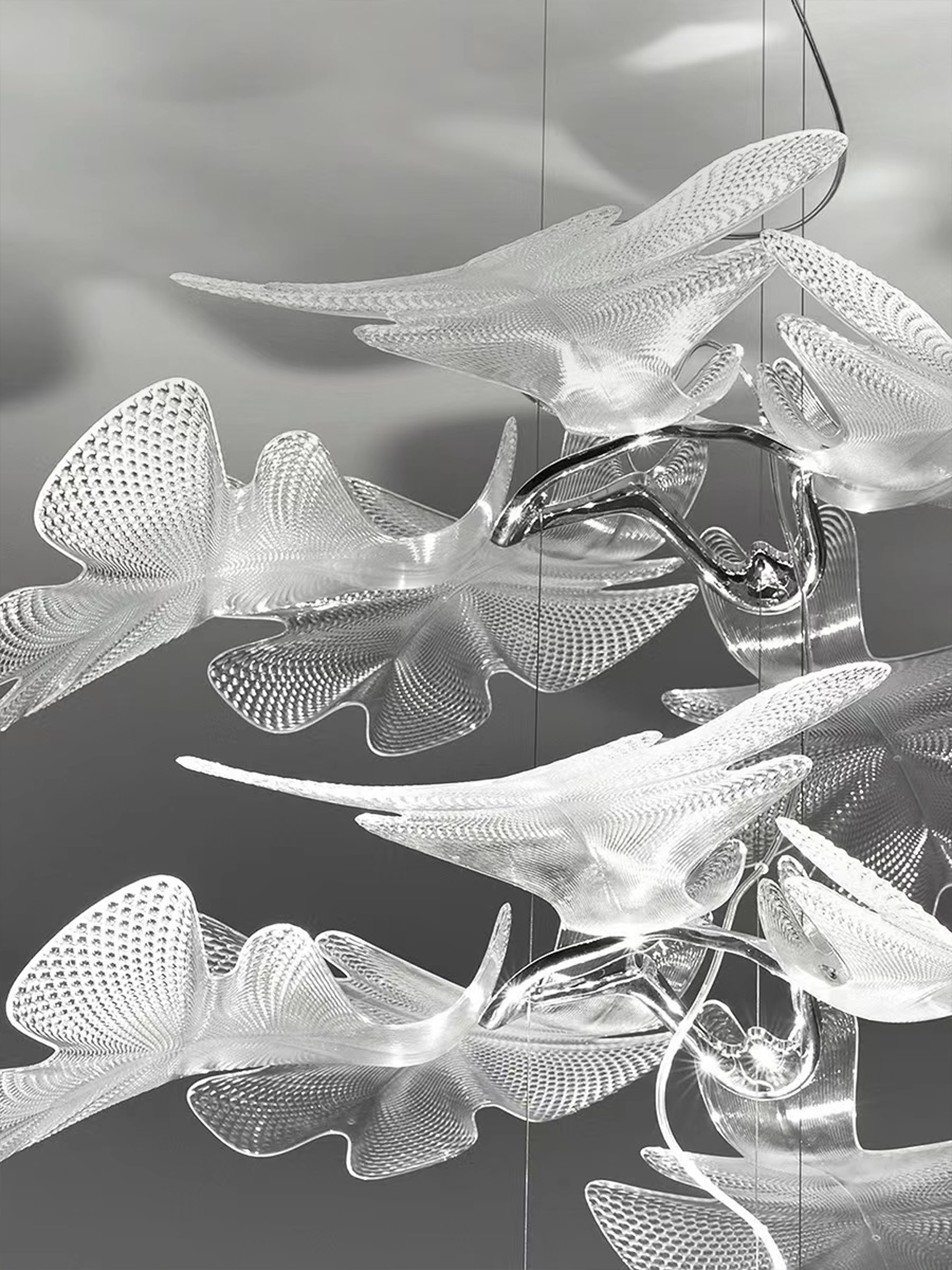 Chlorophilia Suspension Light