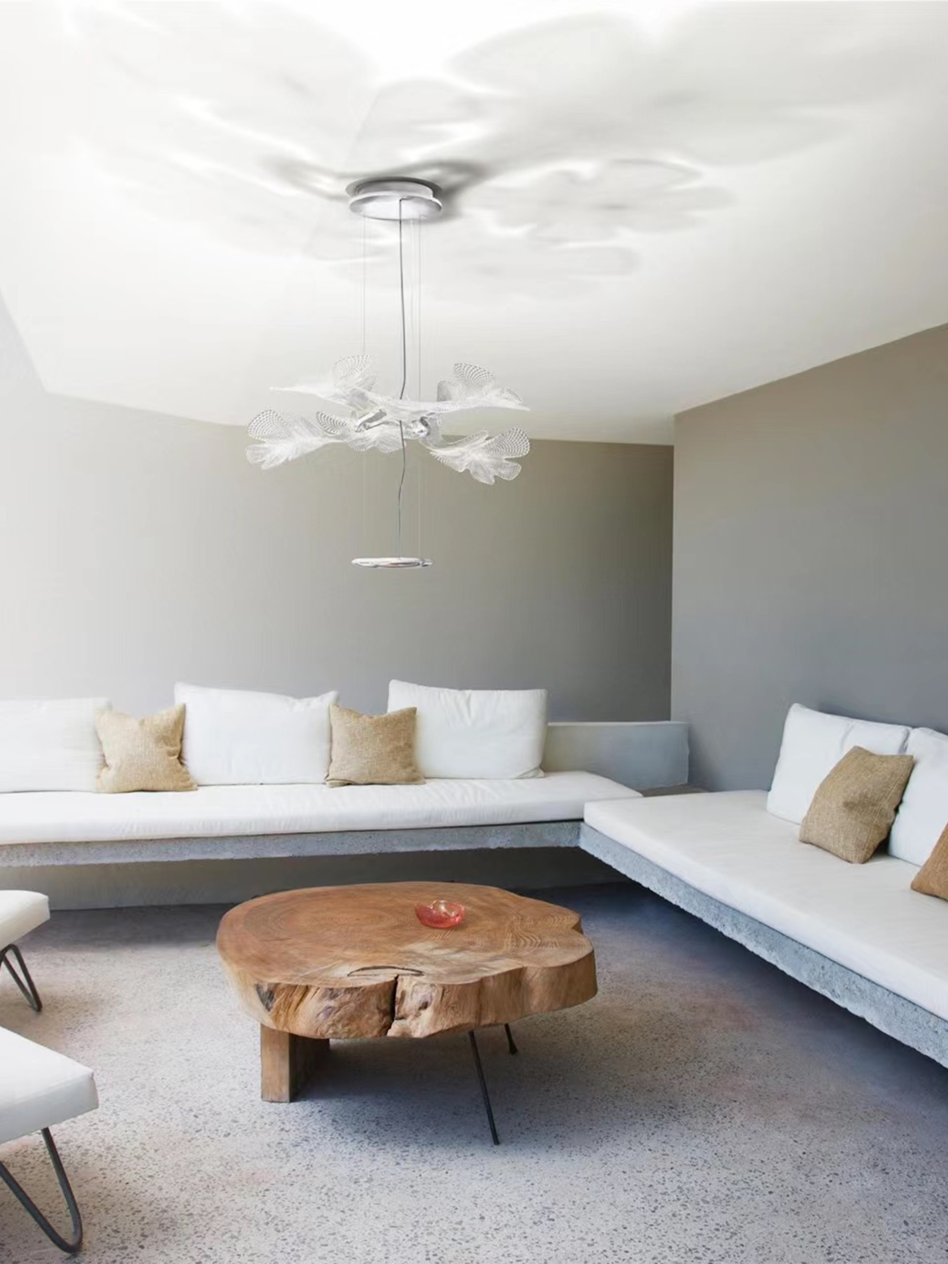 Chlorophilia Suspension Light