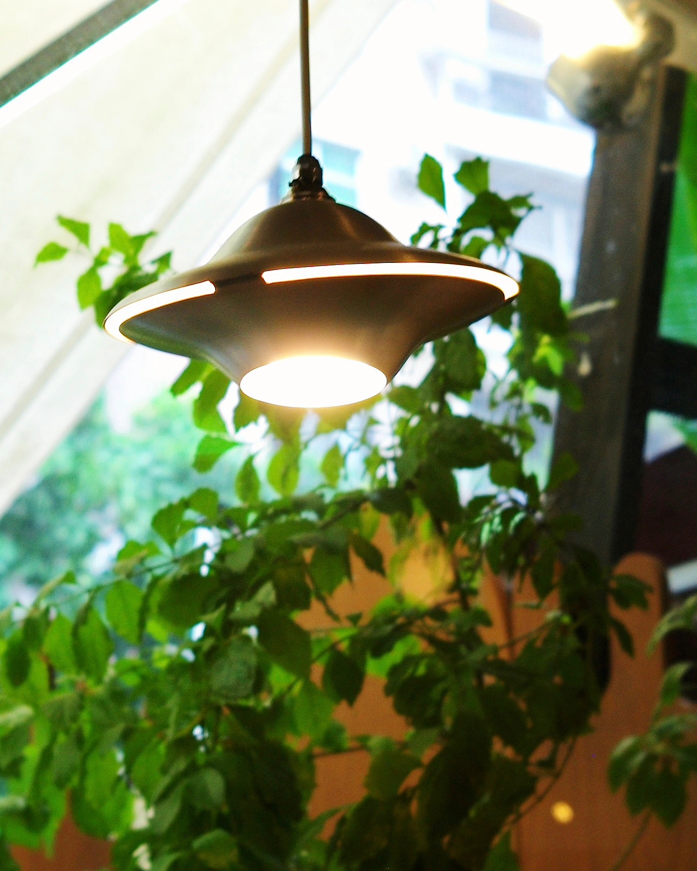 Cosmo Wave Pendant Light 