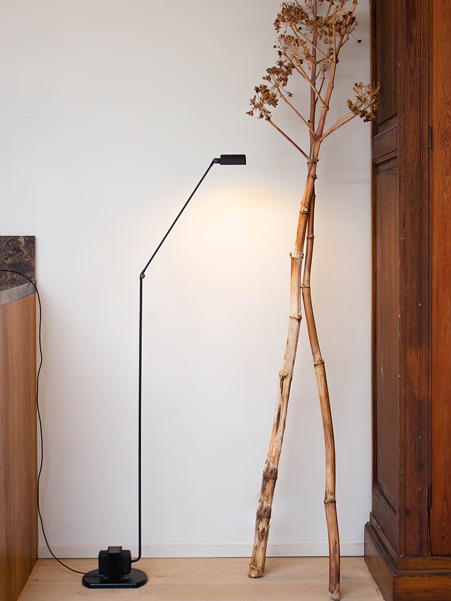Daphines Floor Lamp-elegalight