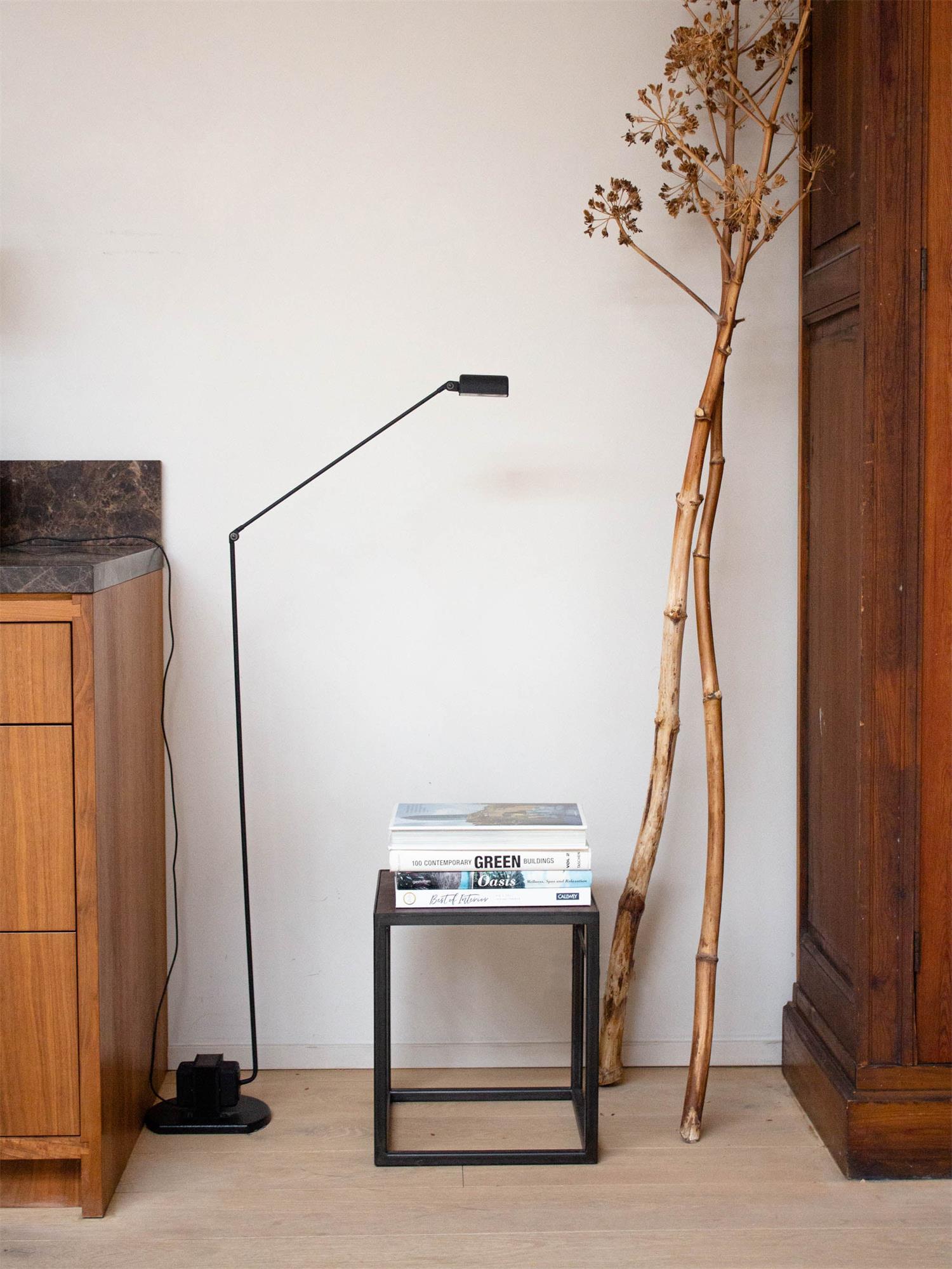 Daphines Floor Lamp-elegalight