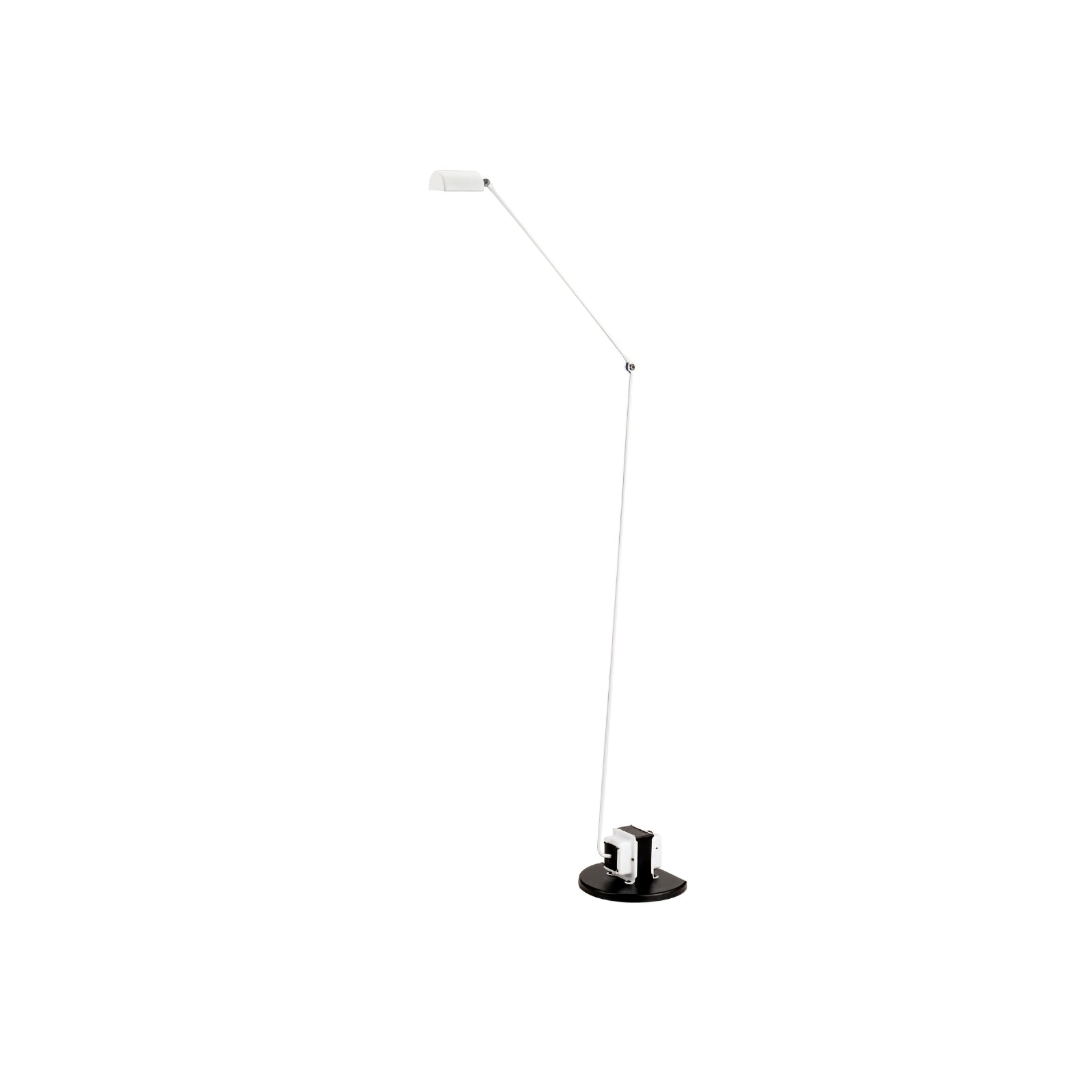 Daphines Floor Lamp-elegalight