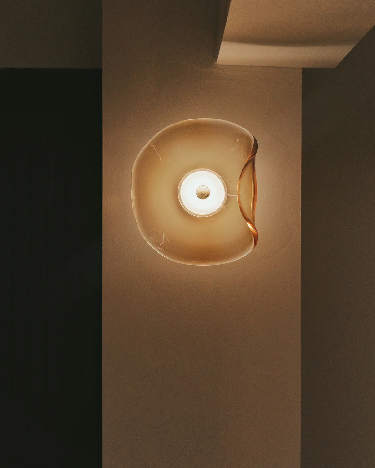 Fluid Petal Glass Wall Light