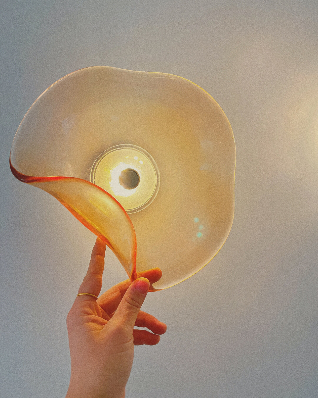 Fluid Petal Glass Wall Light
