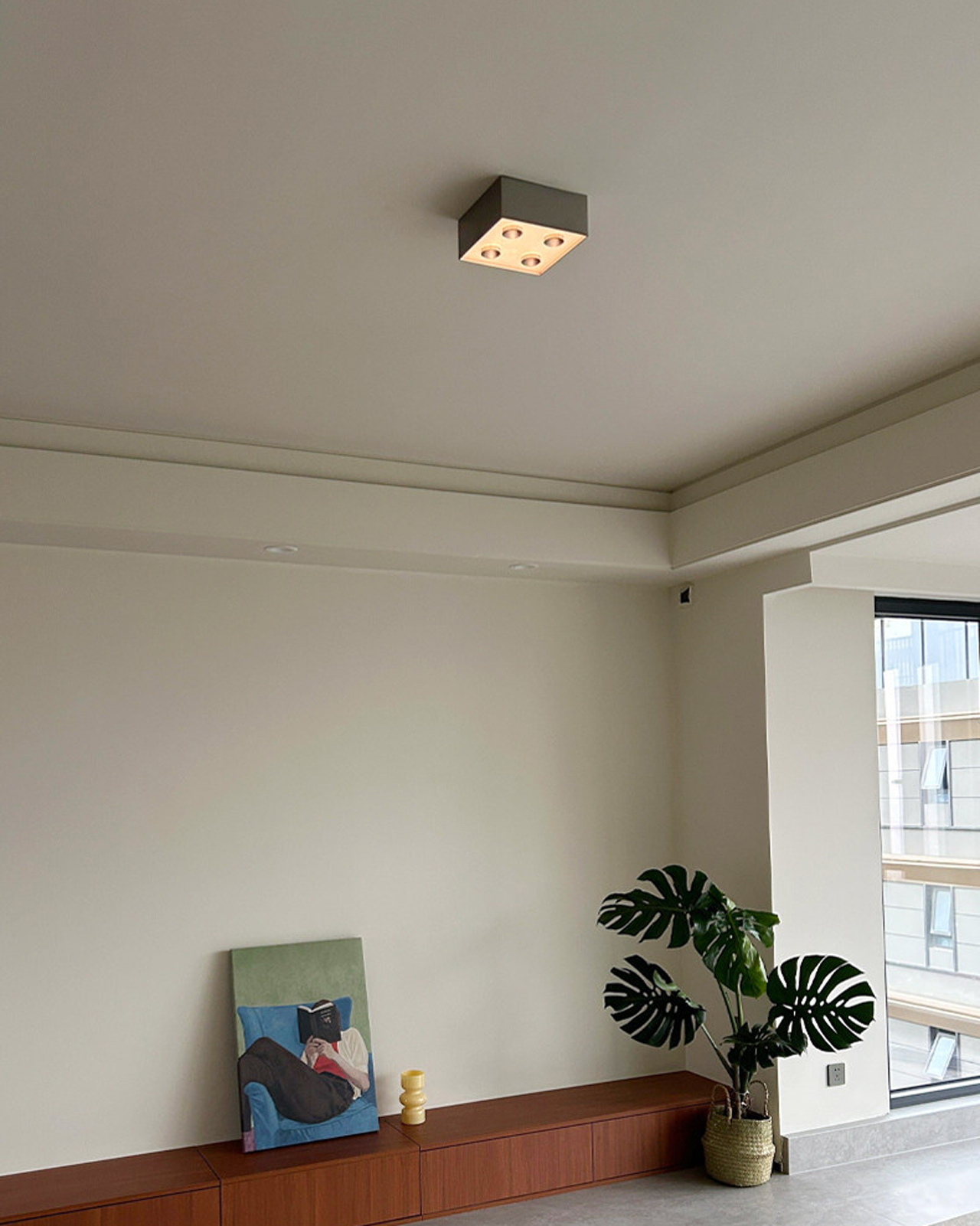 Focus Field Ceiling Light