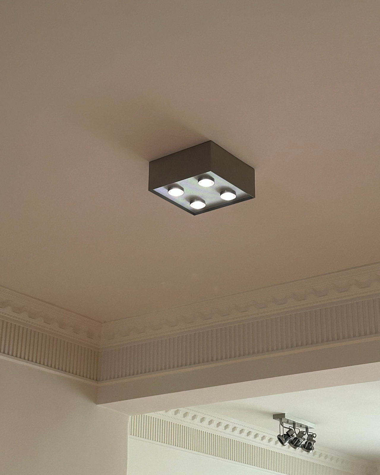 Focus Field Ceiling Light