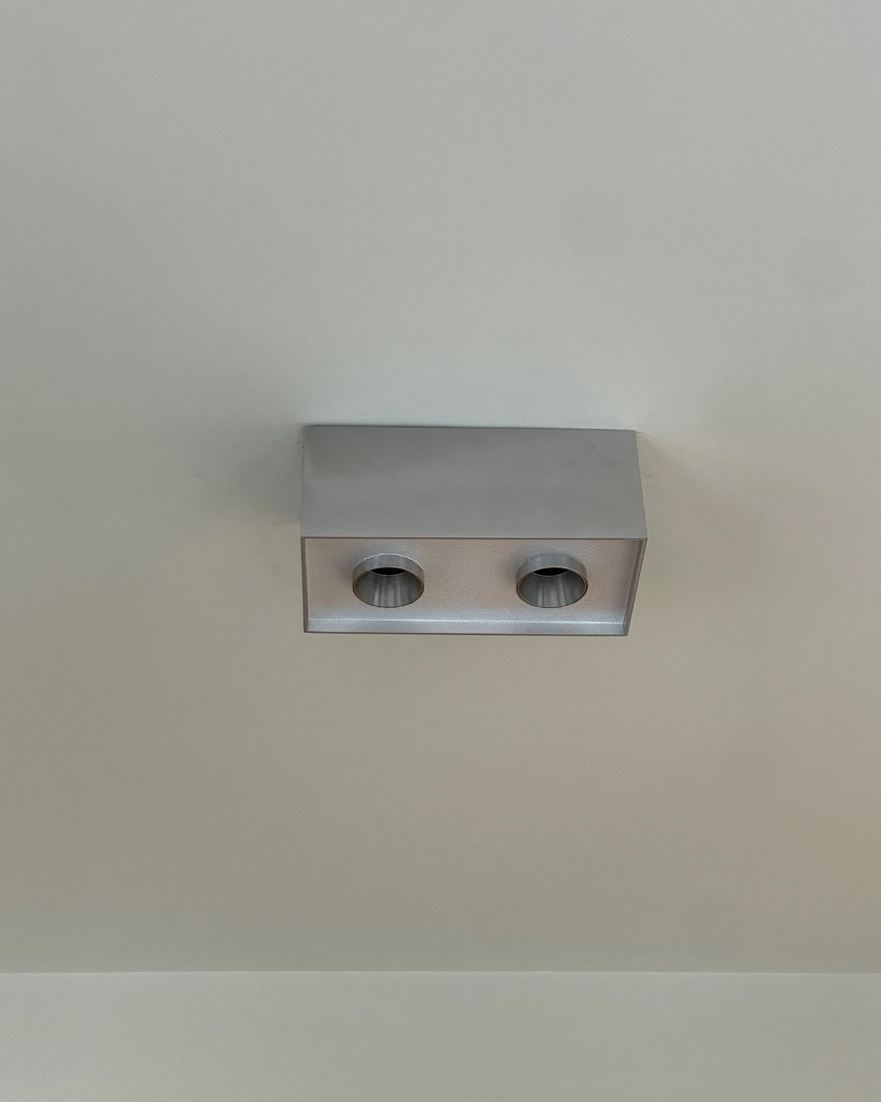 Focus Field Ceiling Light