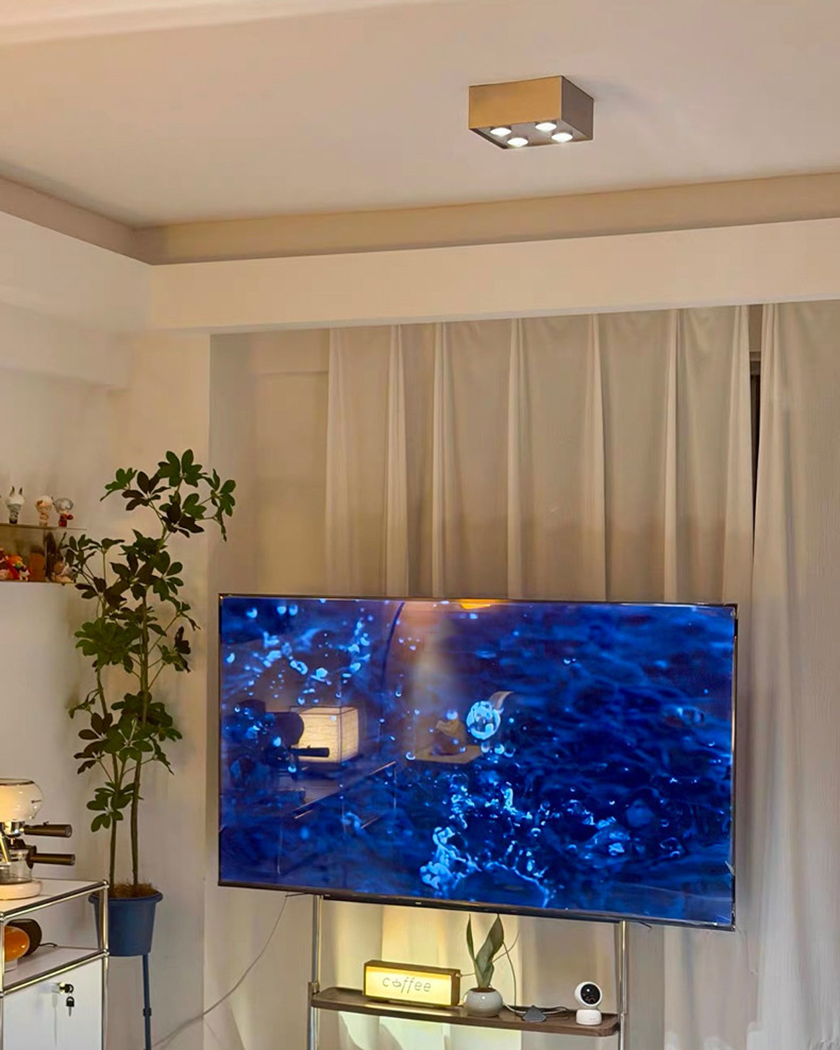 Focus Field Ceiling Light