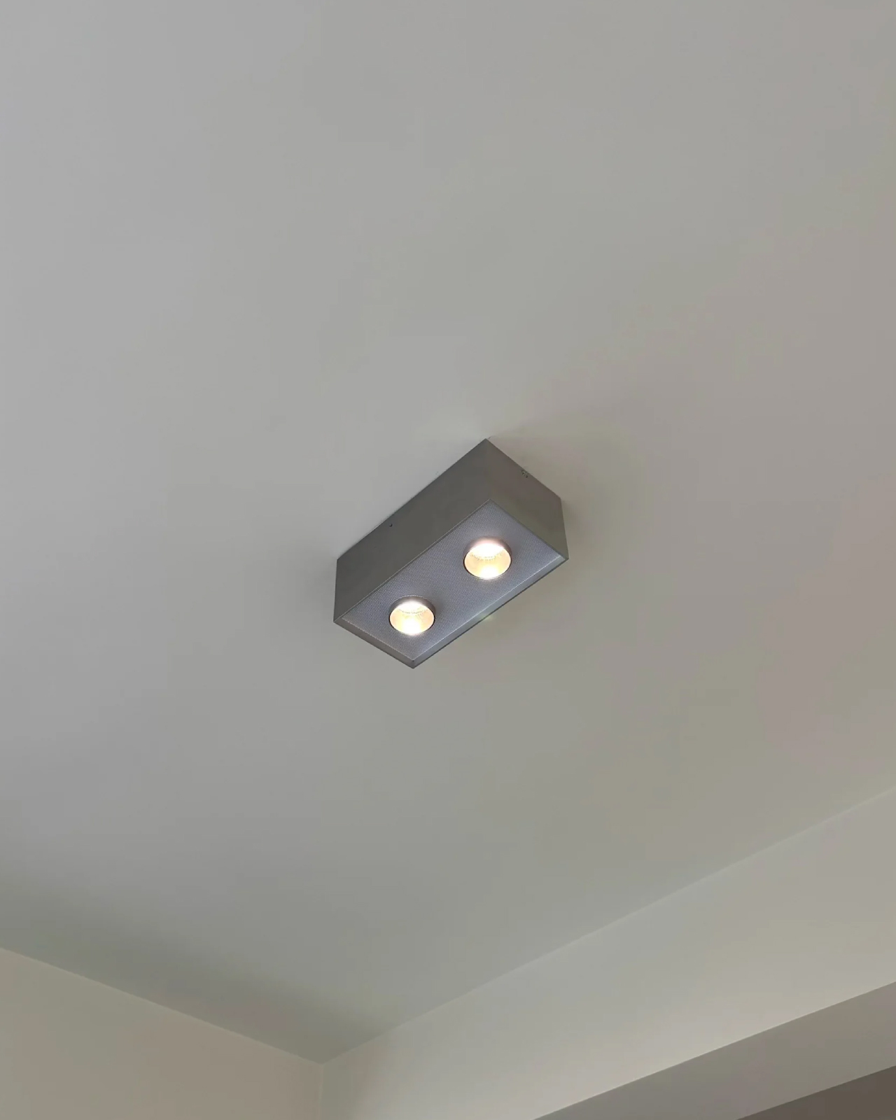 Focus Field Ceiling Light