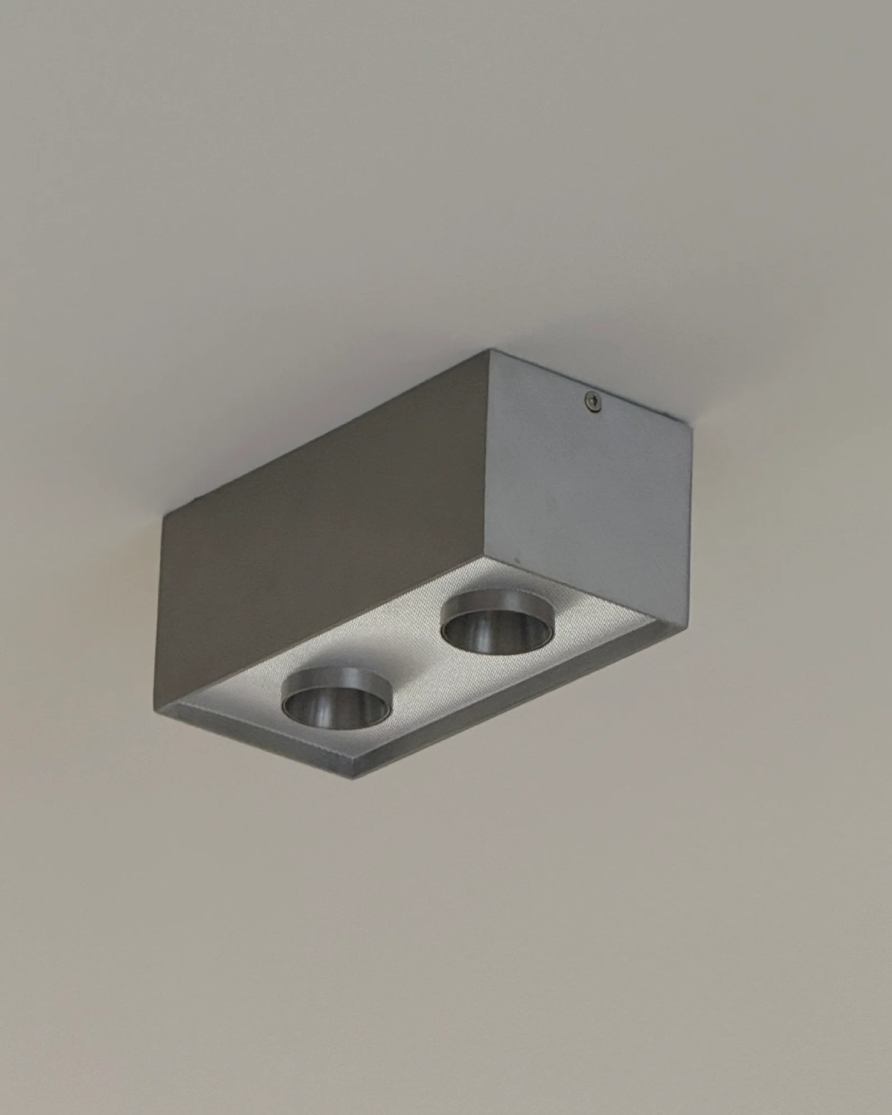 Focus Field Ceiling Light