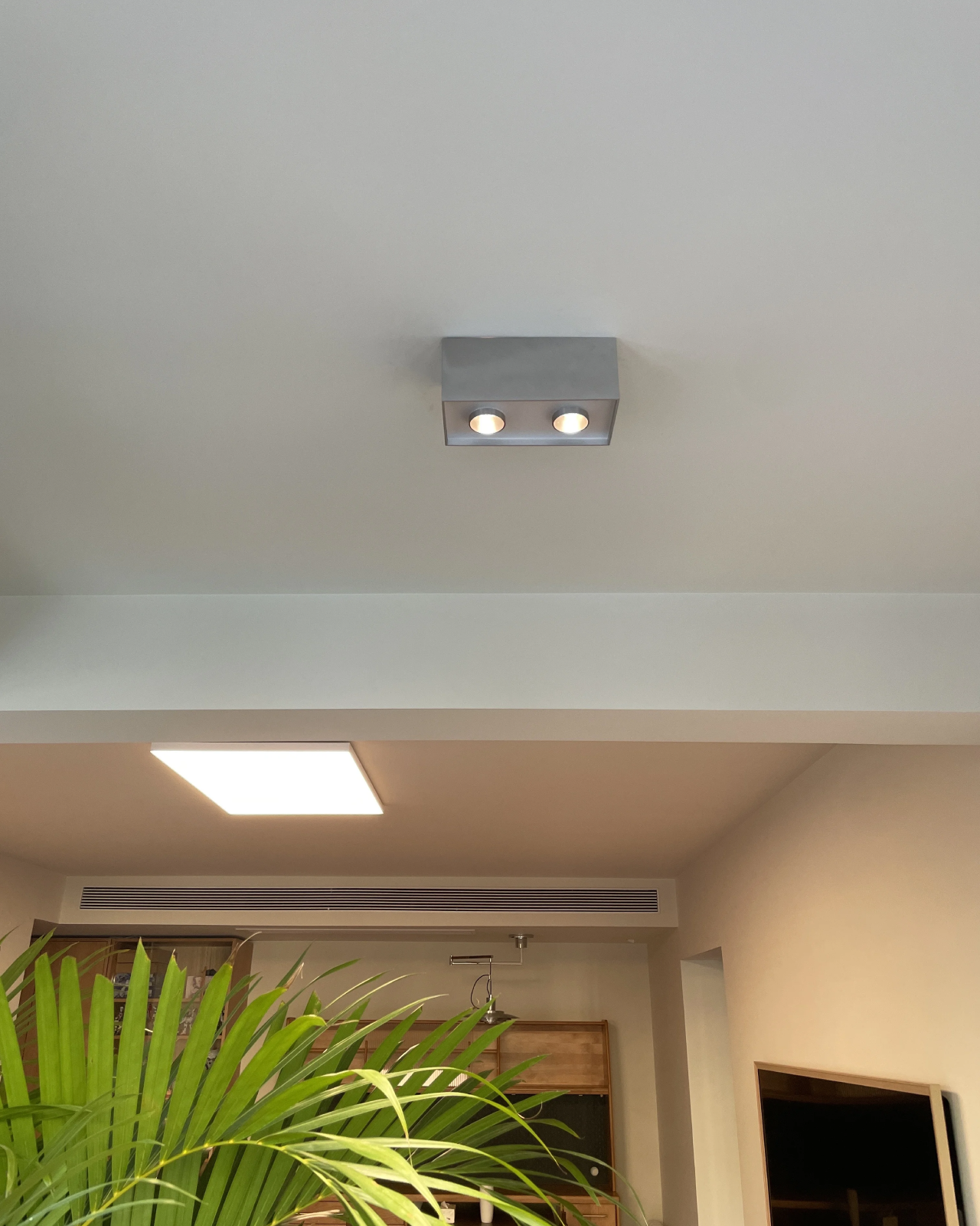 Focus Field Ceiling Light