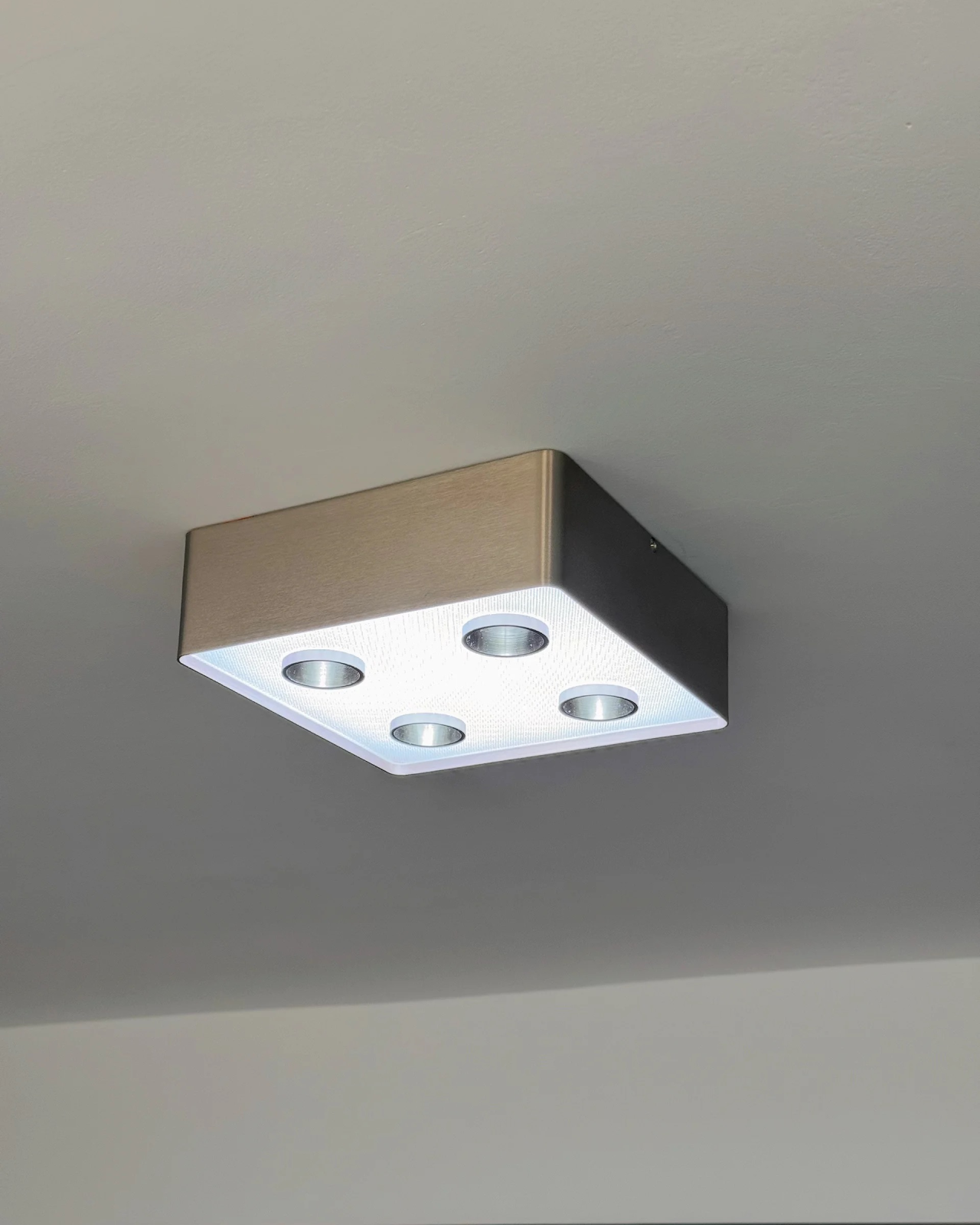 Focus Field Ceiling Light