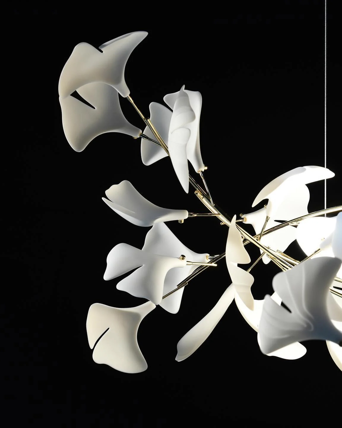 Gingko Chandelier U