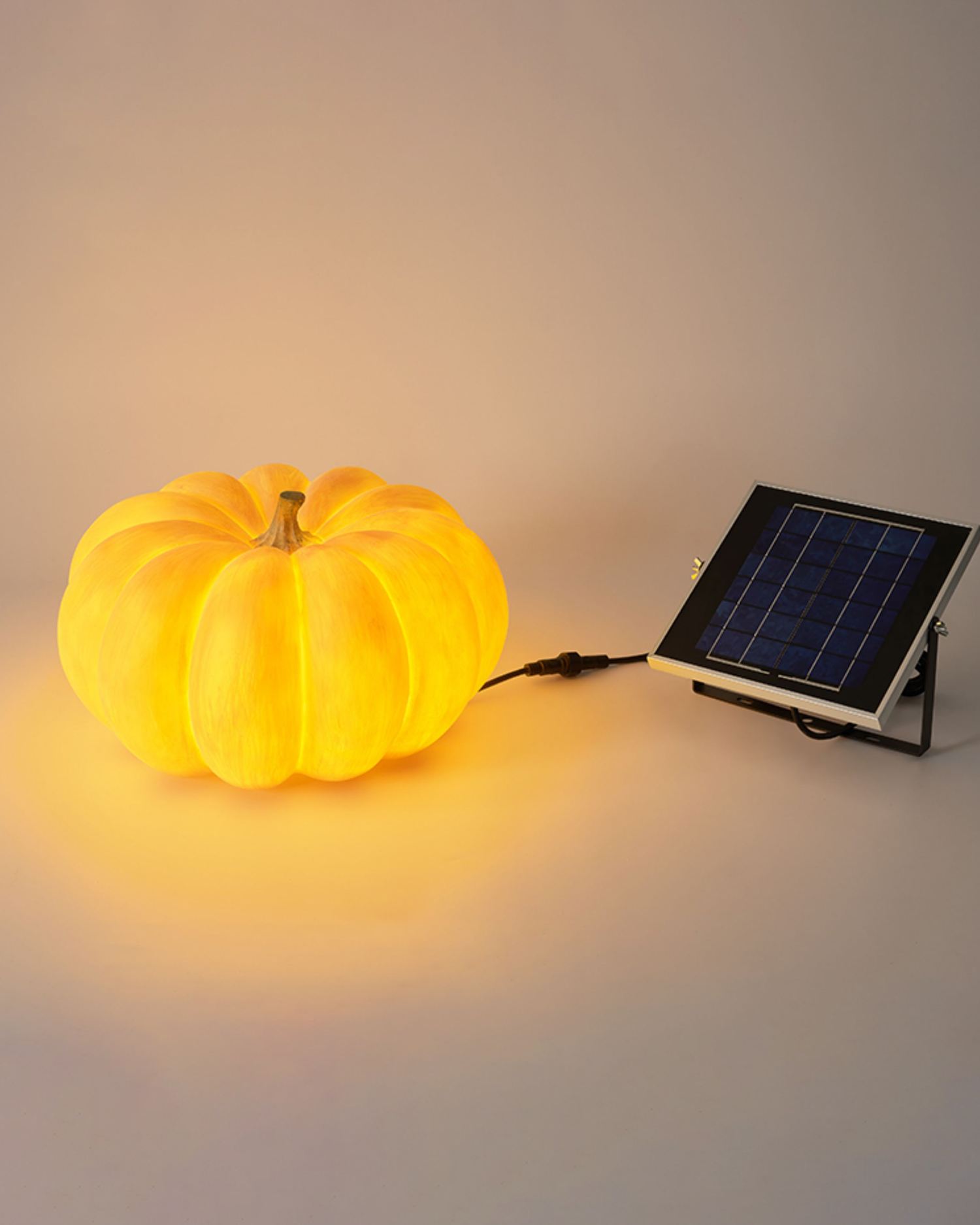 Glowing Pumpkin Outdoor Light